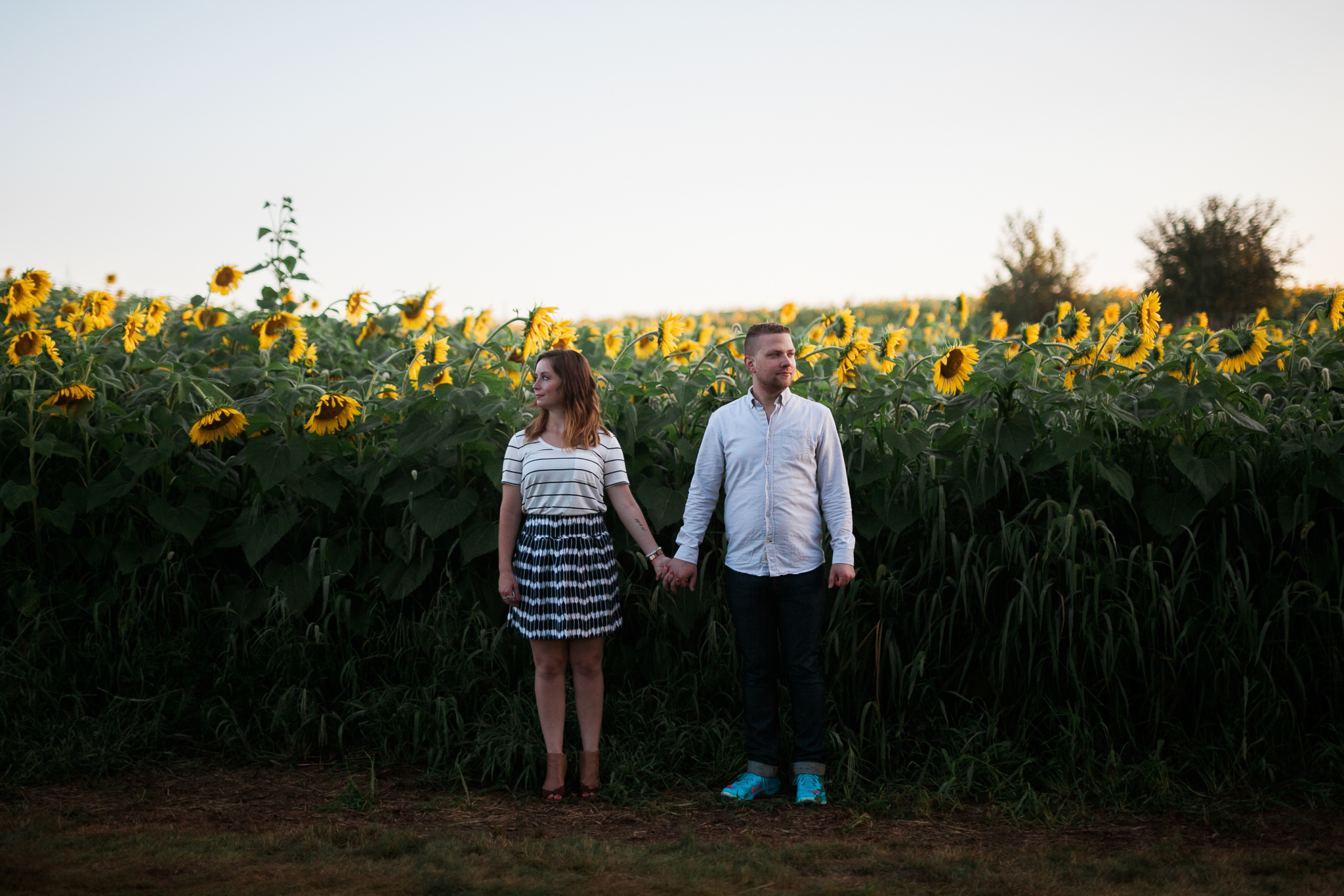 Pope-Farms-Sunflower-Engagement-Session-Madison-Wisconsin_036.jpg