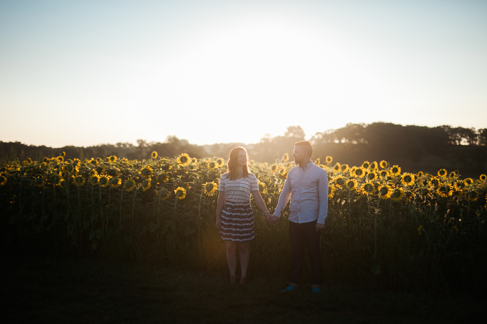 Pope-Farms-Sunflower-Engagement-Session-Madison-Wisconsin_039.jpg