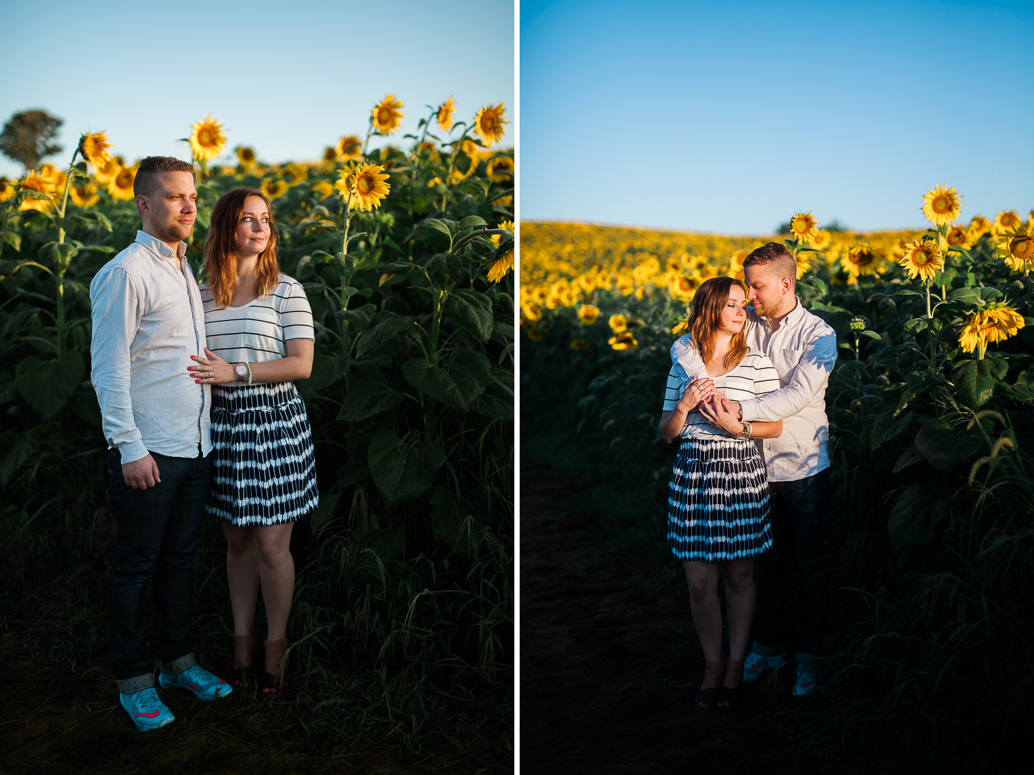 Pope-Farms-Sunflower-Engagement-Session-Madison-Wisconsin_043.jpg