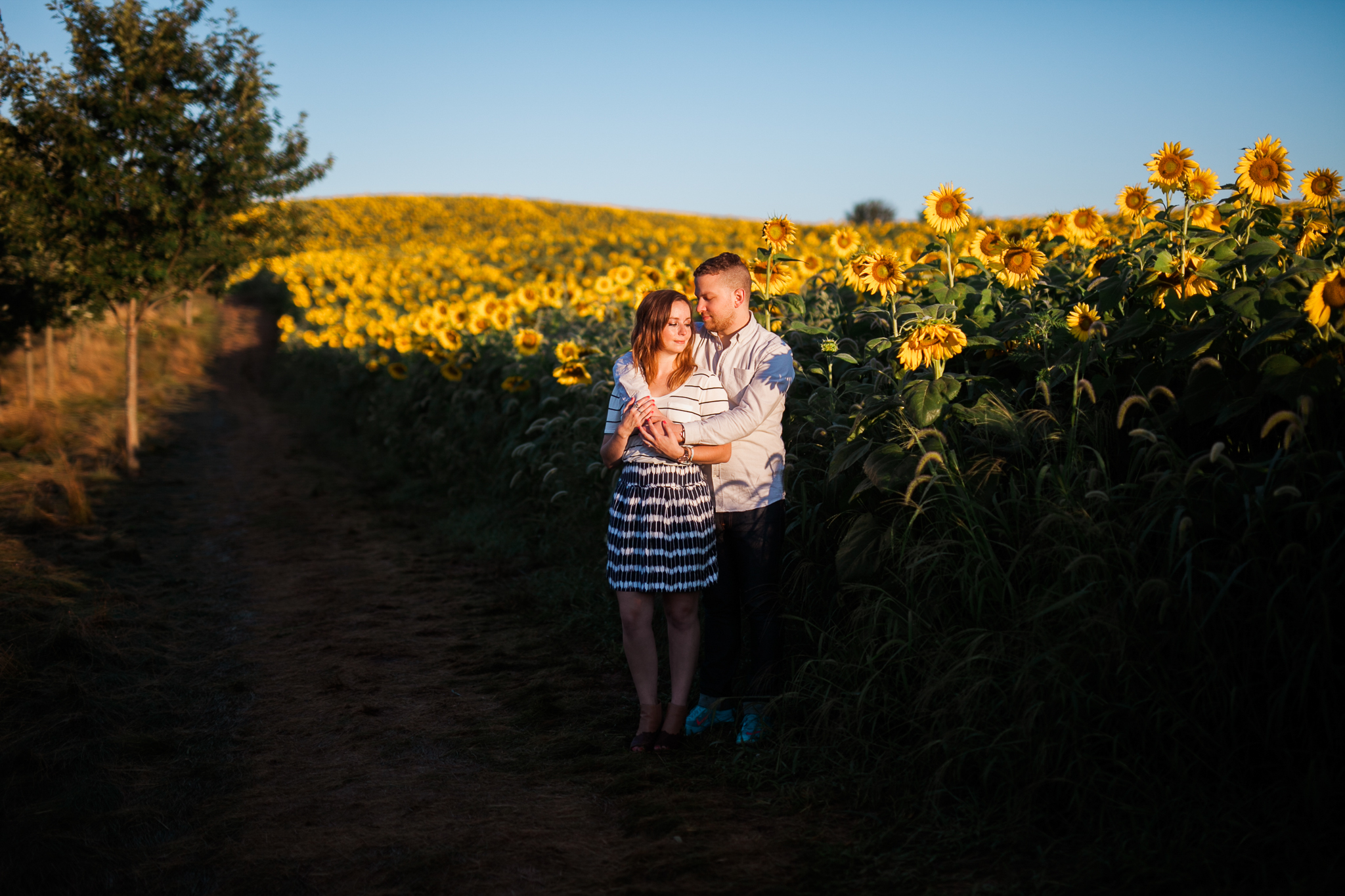 Pope-Farms-Sunflower-Engagement-Session-Madison-Wisconsin_044.jpg