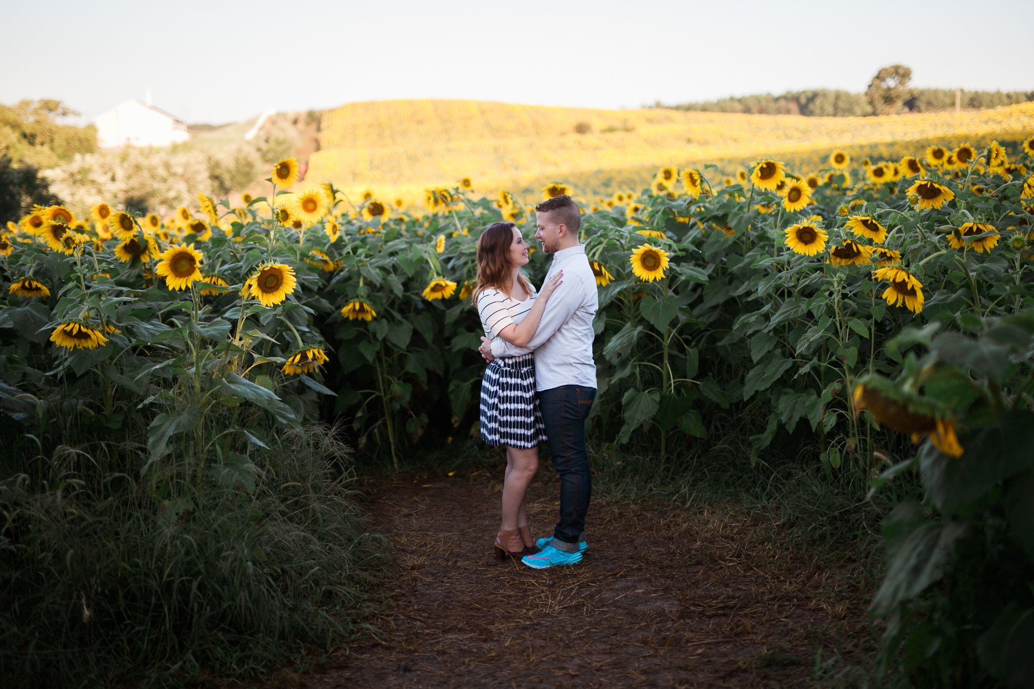Pope-Farms-Sunflower-Engagement-Session-Madison-Wisconsin_045.jpg