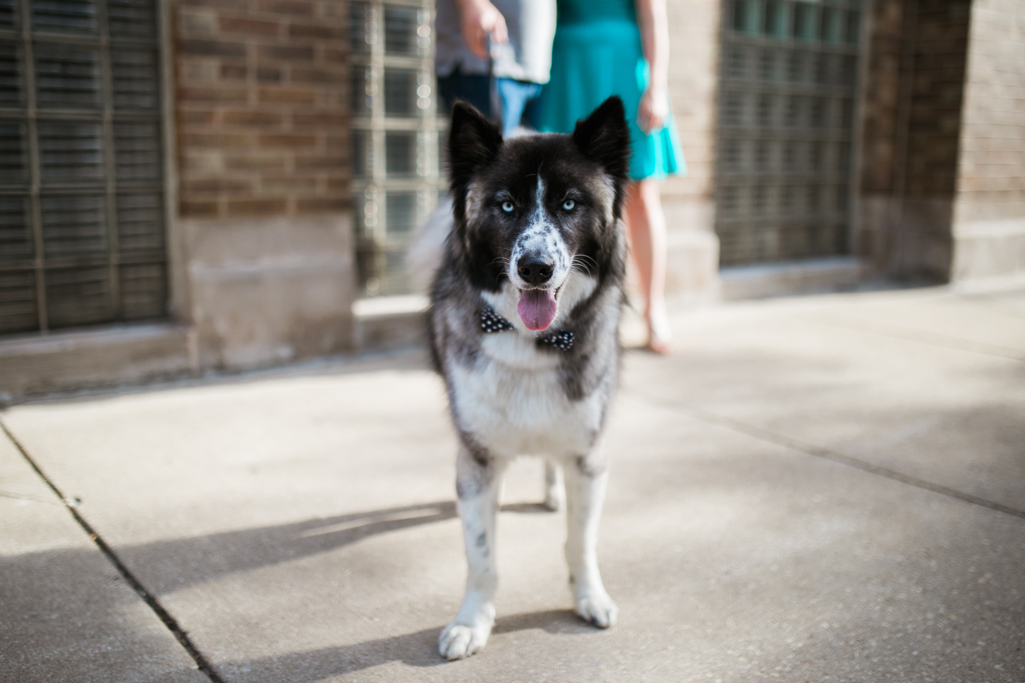 Downtown-Chicago-Engagement-Session-Jen-Dederich_007.jpg