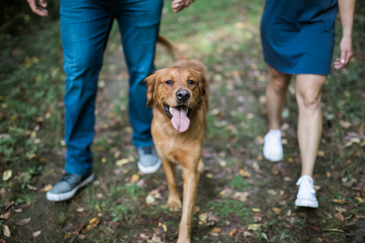 Engagement-portraits-Stoughton-Wisconsin_004.jpg