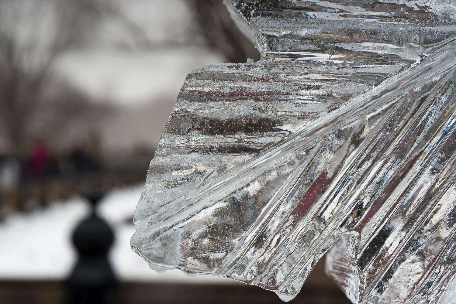 ICE FESTIVAL SNOWFLAKE