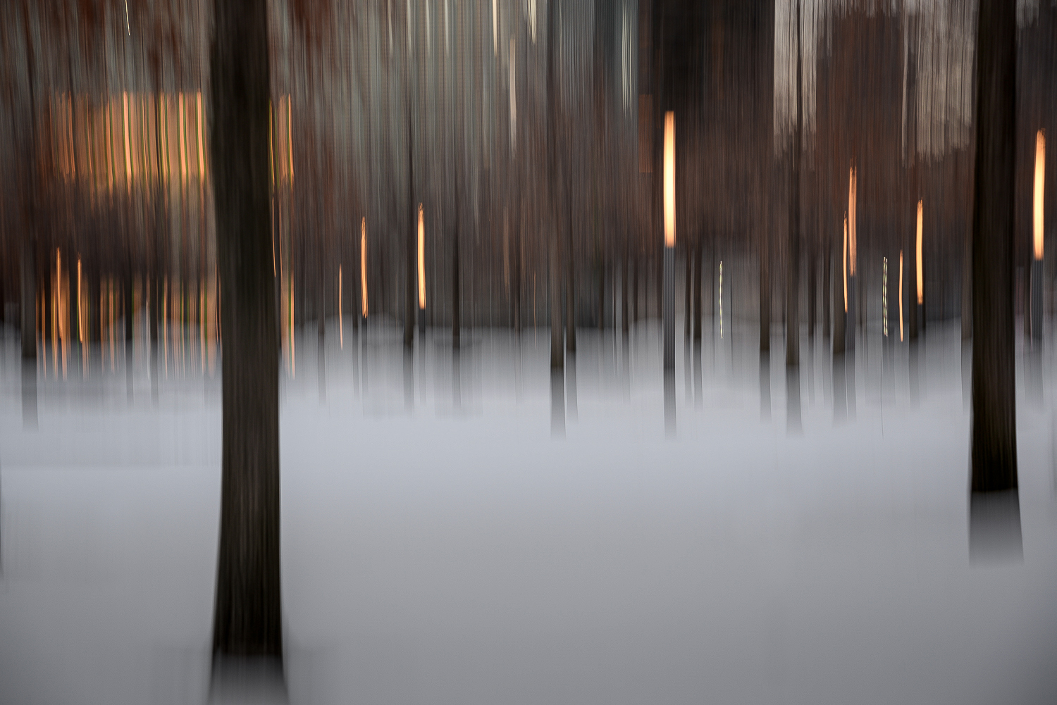 Light Trees