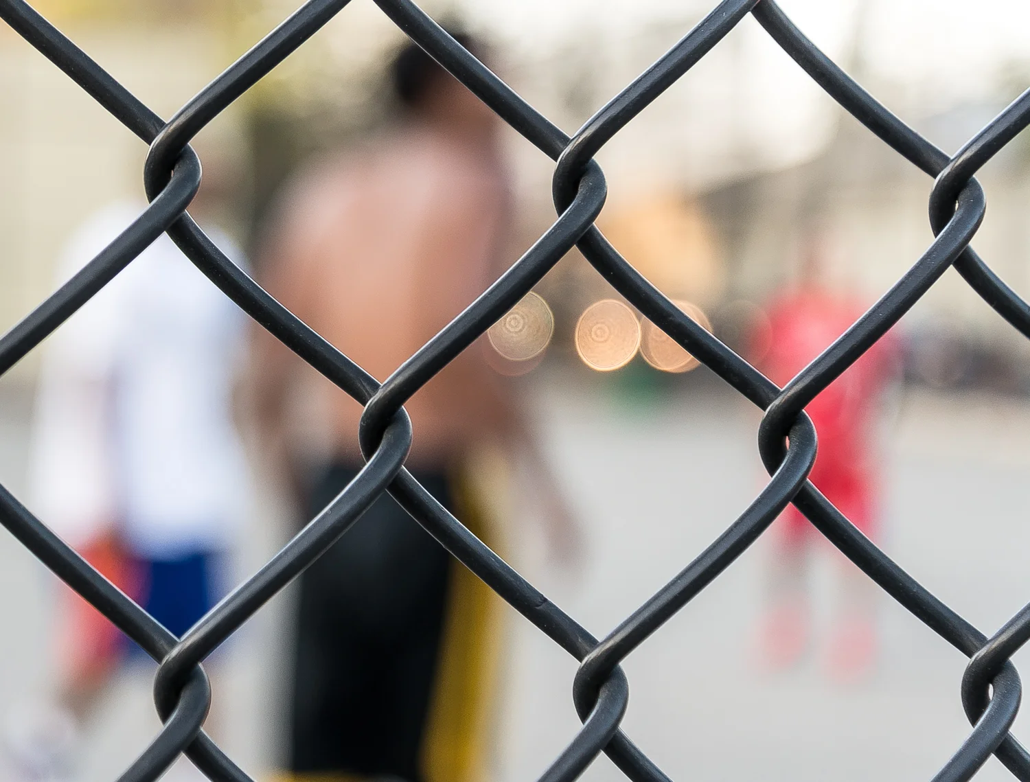 FENCED IN