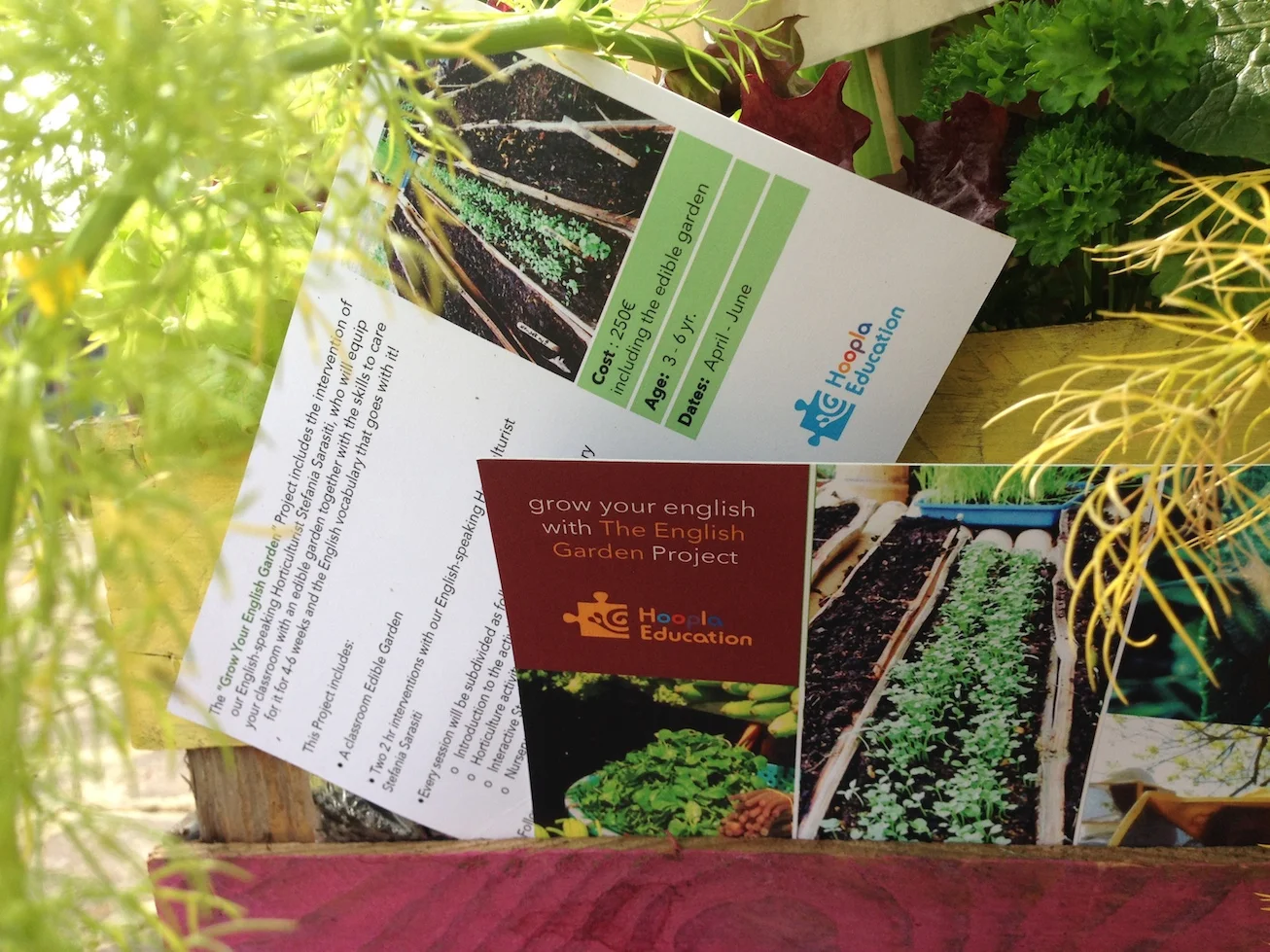 Garden-in-the-Box.JPG