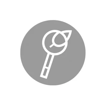 Explore Icon.jpg