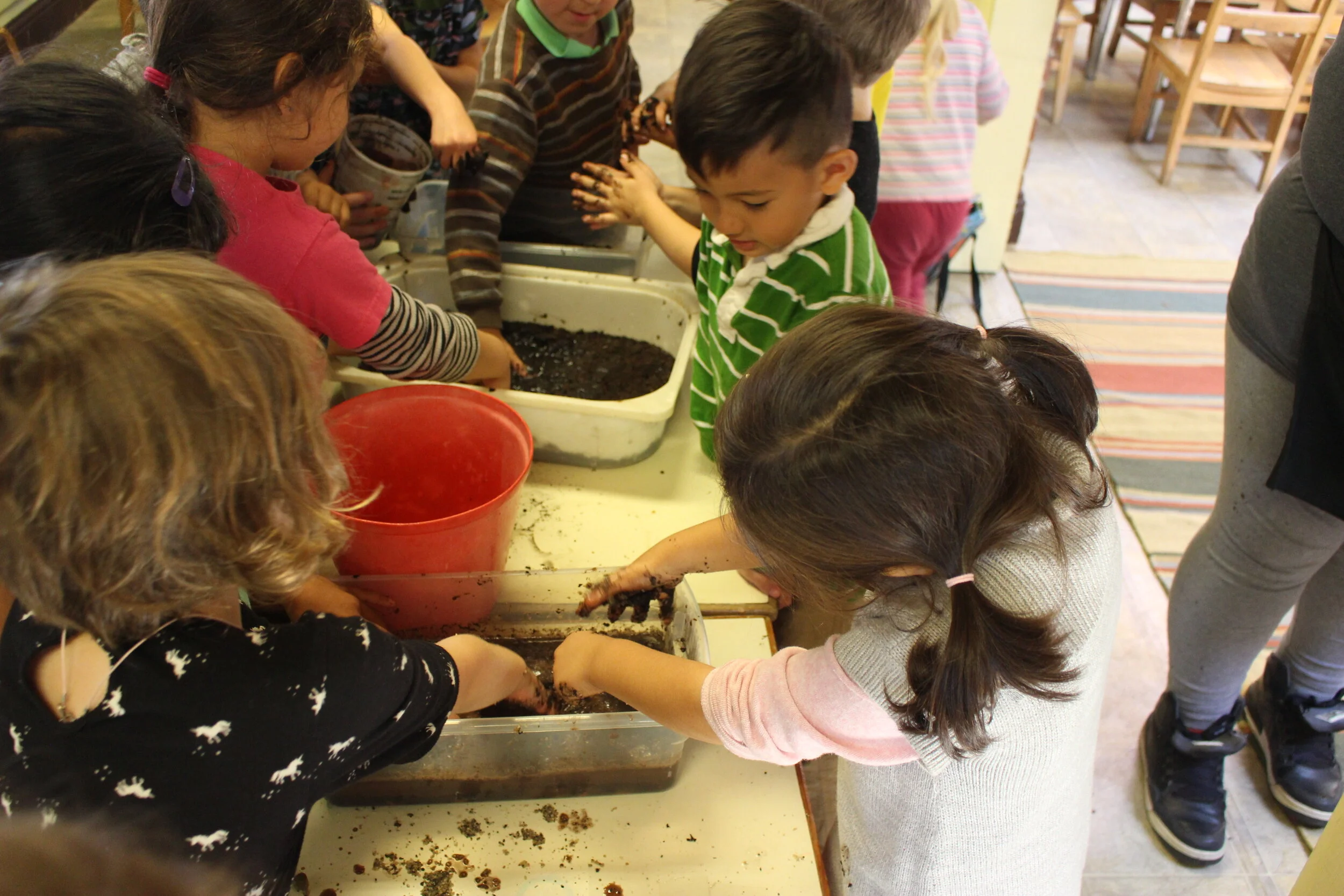 The Berkeley School, Berkeley, USA