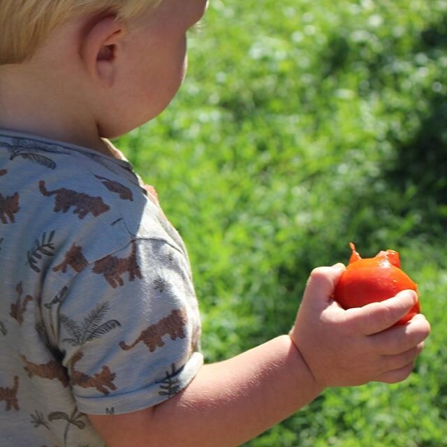 Did you know that you can practice mindful eating with your children? This is the act of taking the time of savoring every mouthful of food, using it in a meditation to experiencing a deep appreciation for the food that is nourishing our bodies. Ques