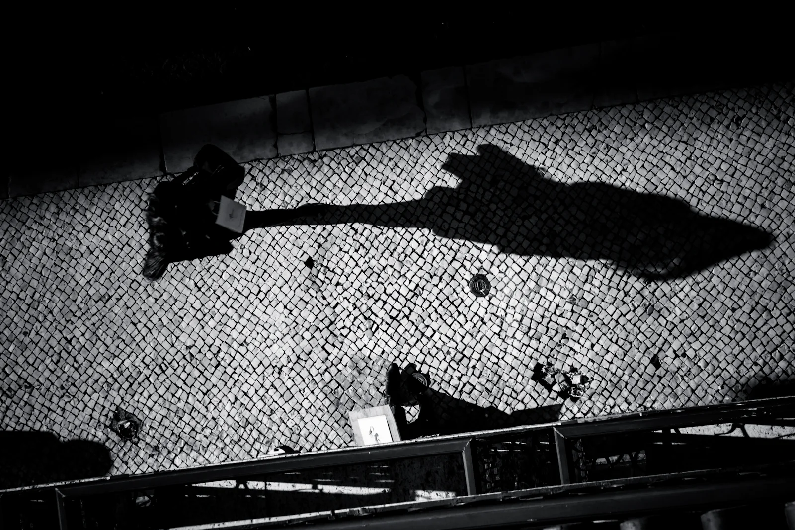 The large shadow of life