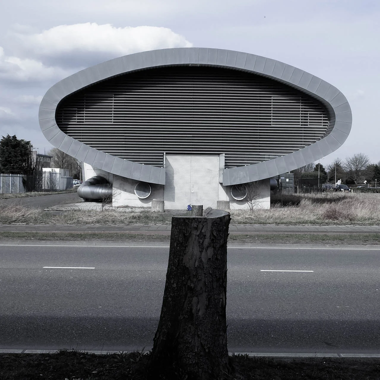Mushroom (Not Magic)