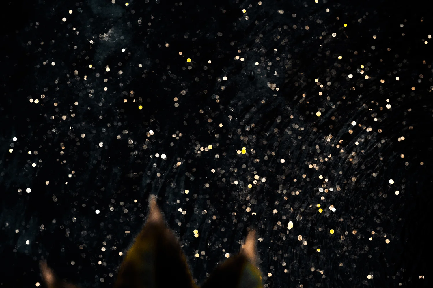 Bokeh - Archivo de la Corona de Aragón