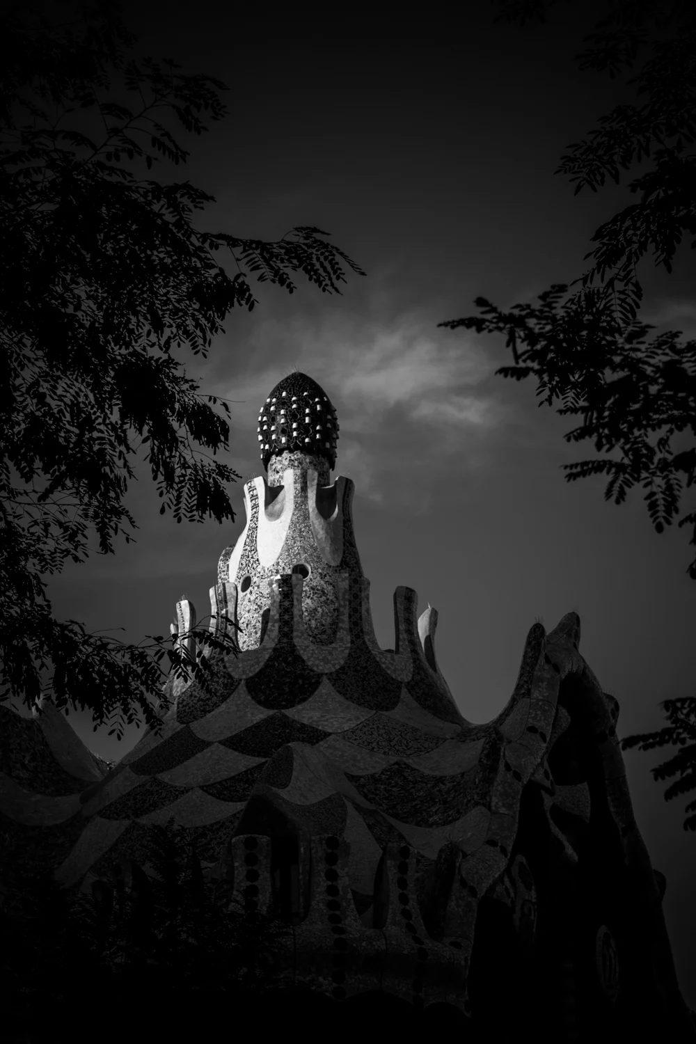 The last ray
