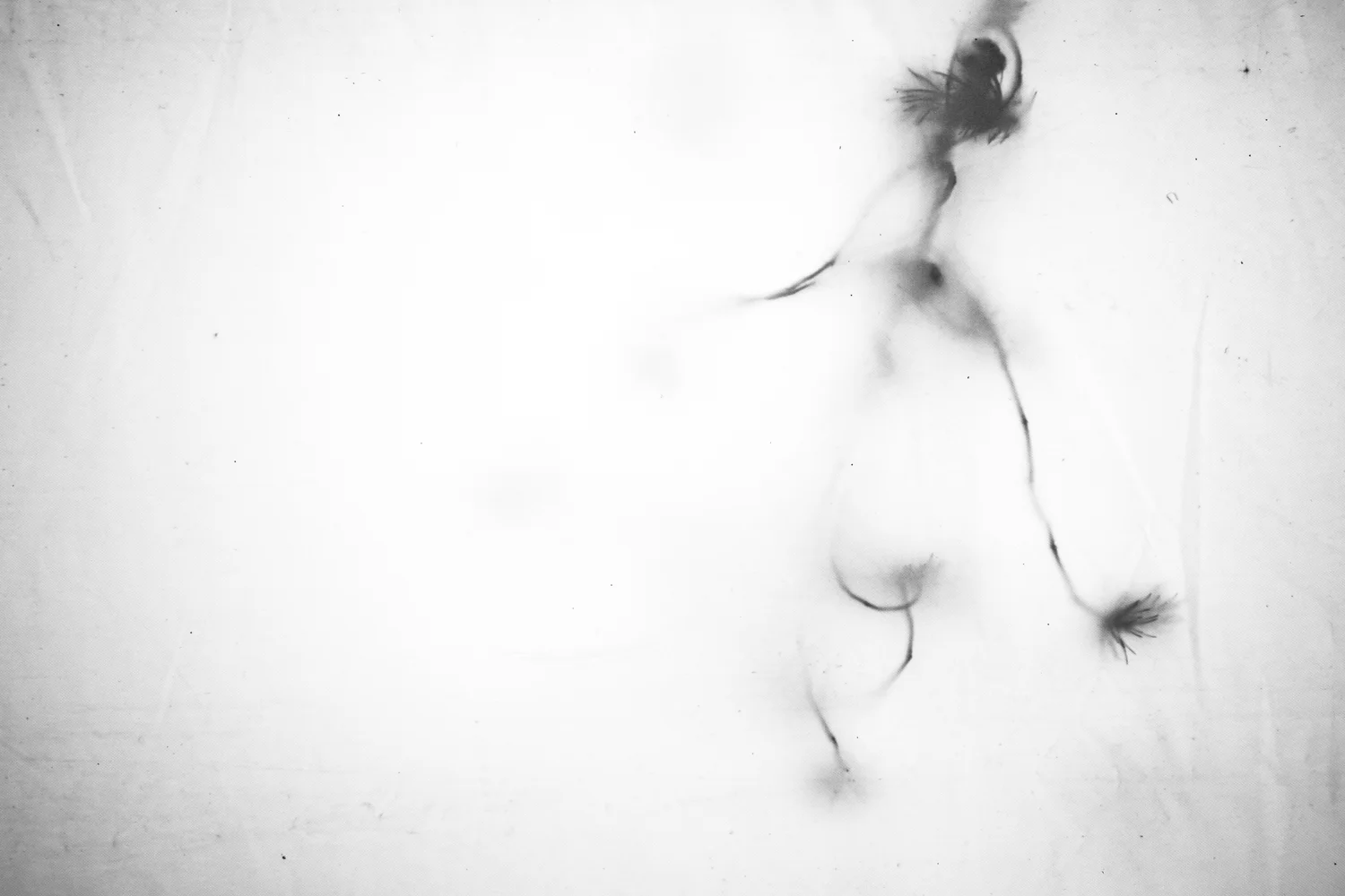 %22I want to do to you what spring does with the cherry trees.%22 Pablo Neruda.jpg