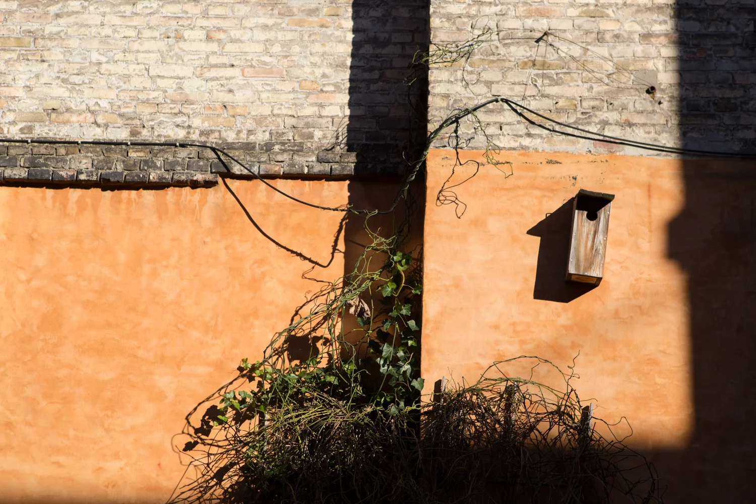 Bird House