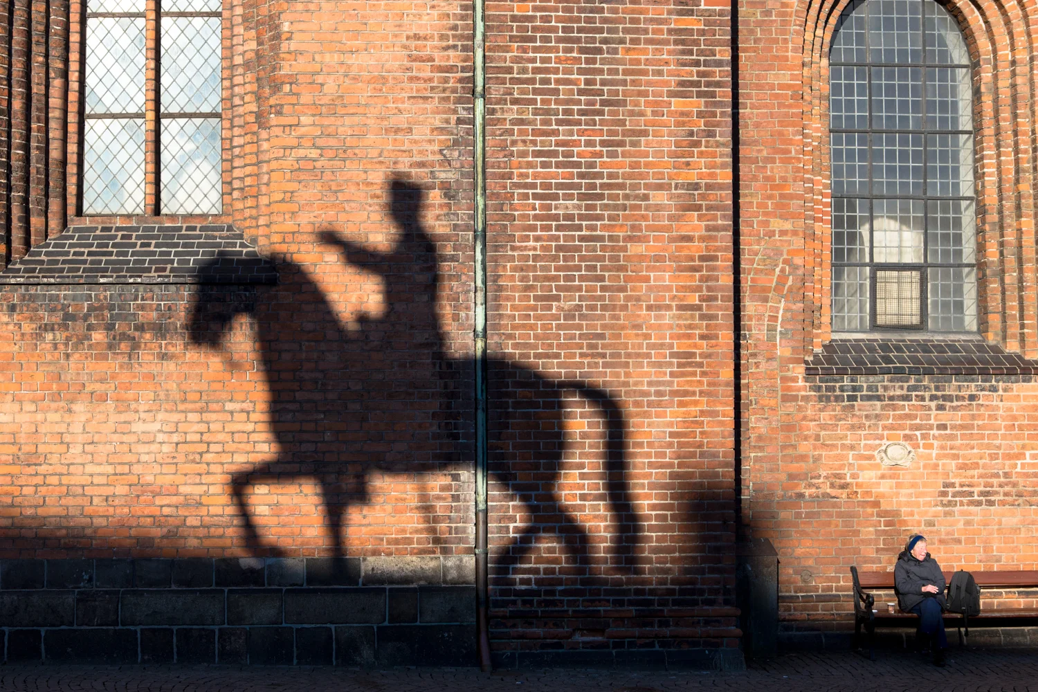 Horse Shadow