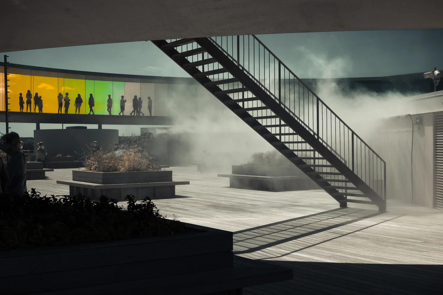 Foggy Aros