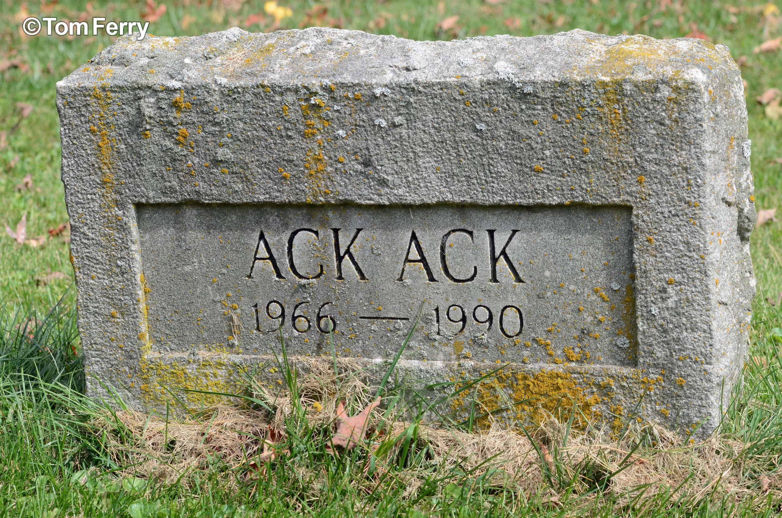Ack Ack