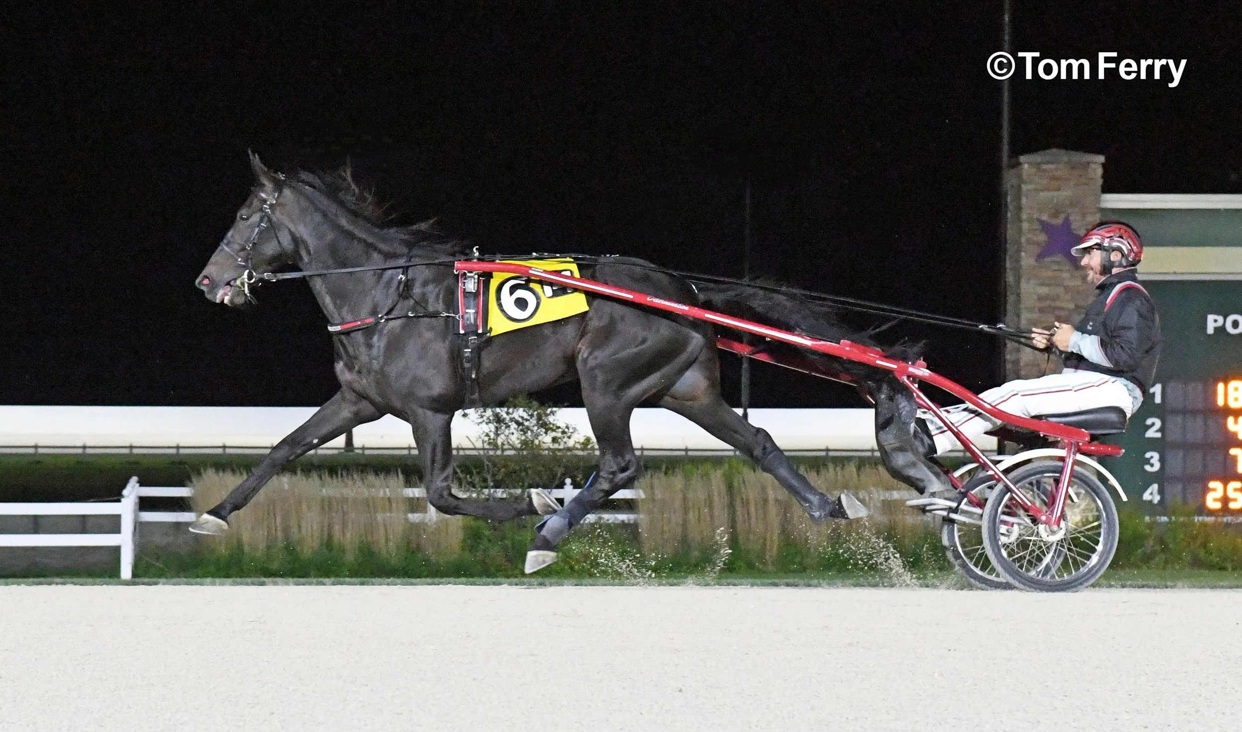 Forbidden Trade.  Winner of the 2019 Hambletonian Stakes.