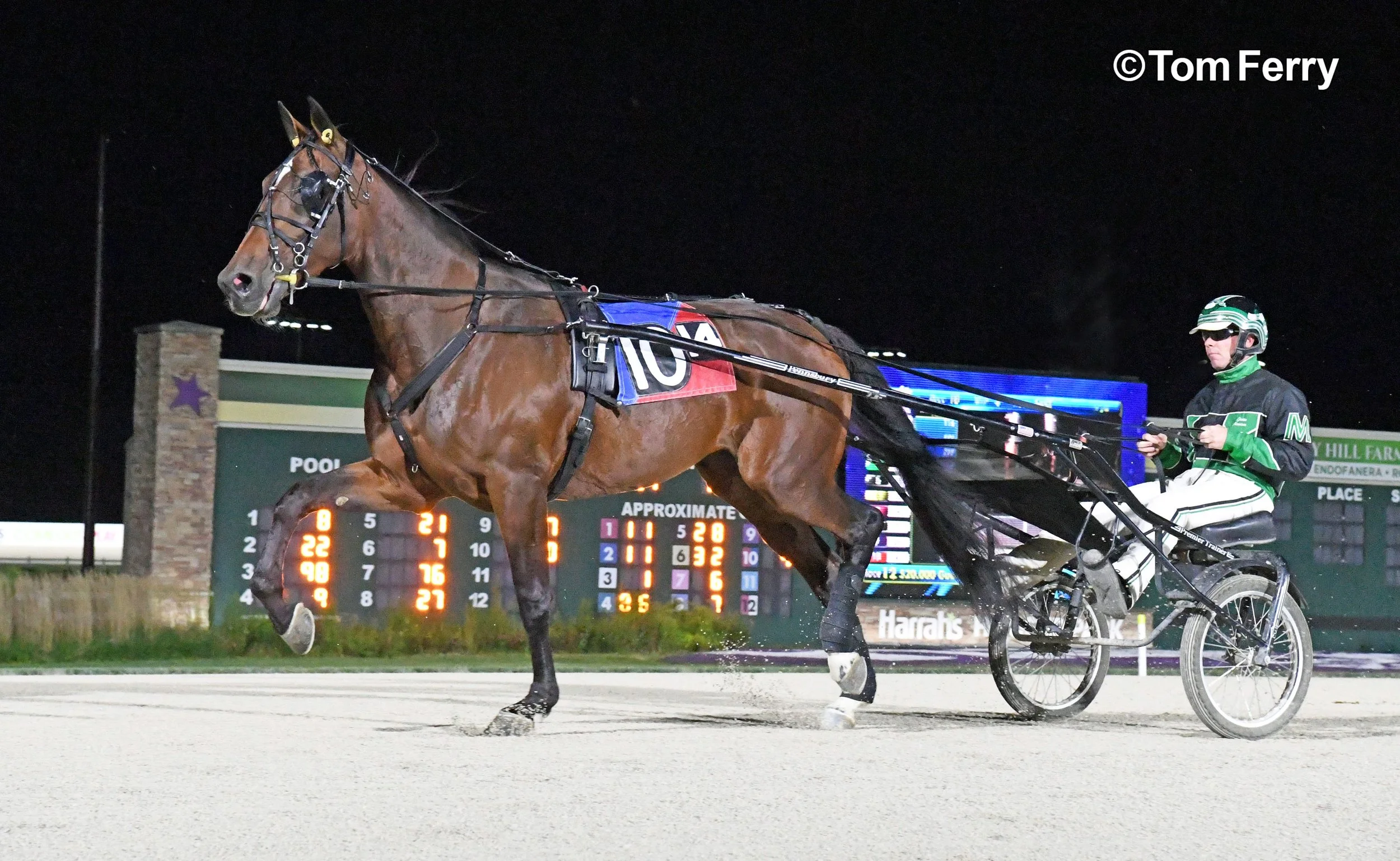 Bella Bellini.   Harness Racing's 2022 Trotter of the Year.