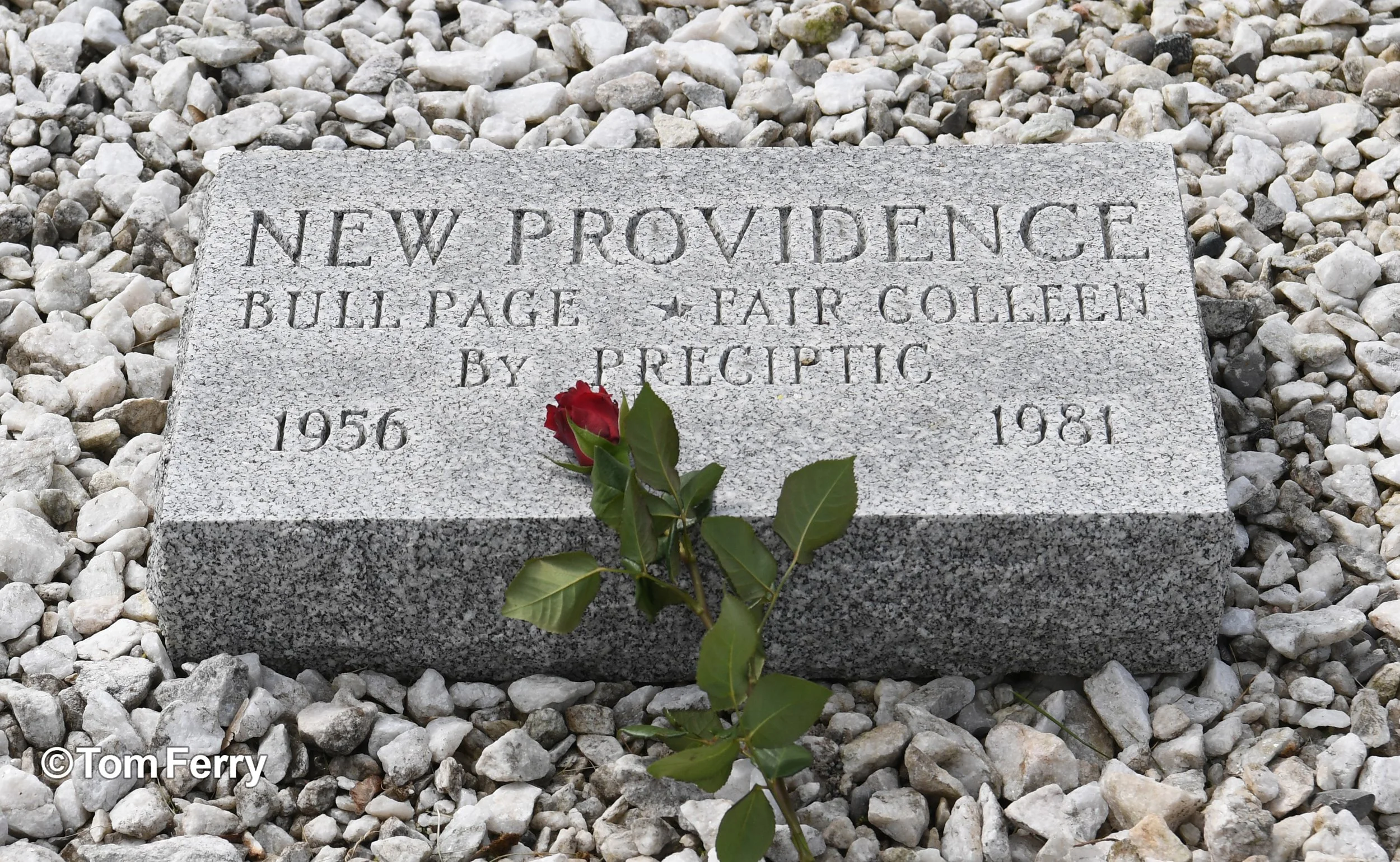 New Providence