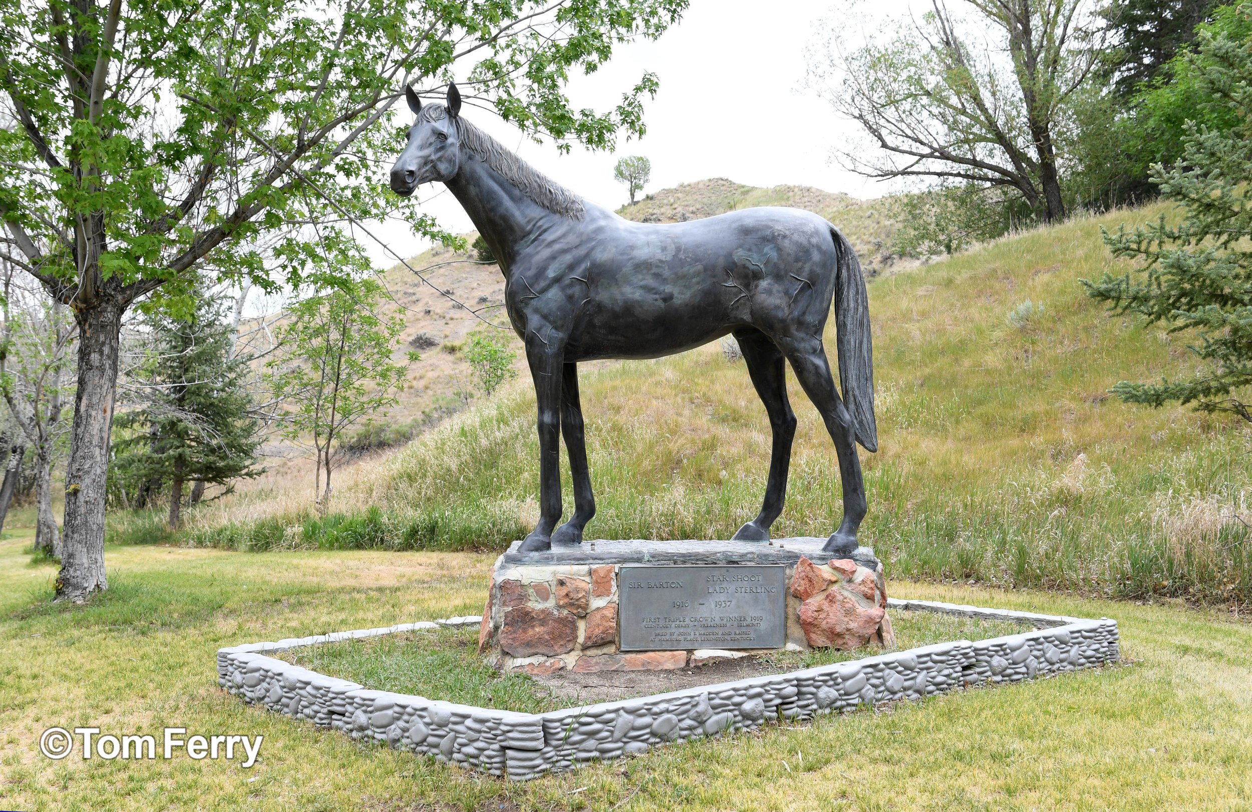 Sir Barton