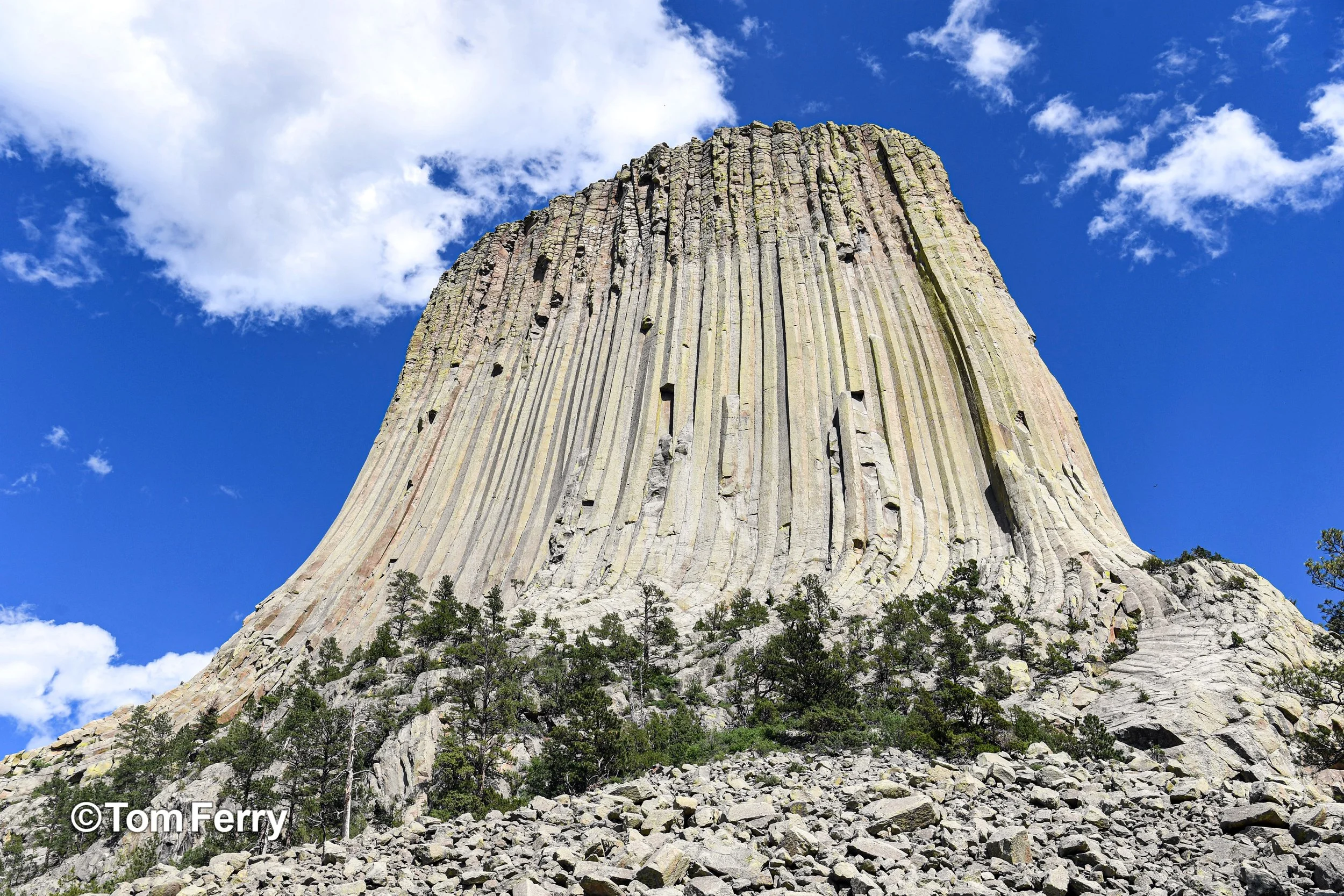 Devil's Tower (Devil's Tower, WY.)