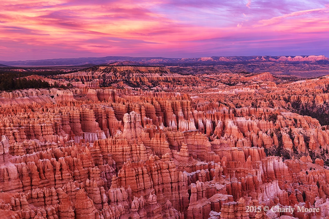 Bryce Sunset _1CHARLYMOORE.jpg