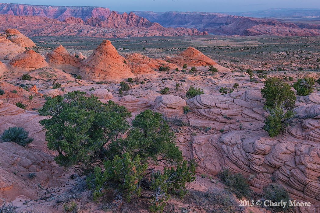 Little Cut Sunrise_DSC_8601CHARLYMOORE.jpg