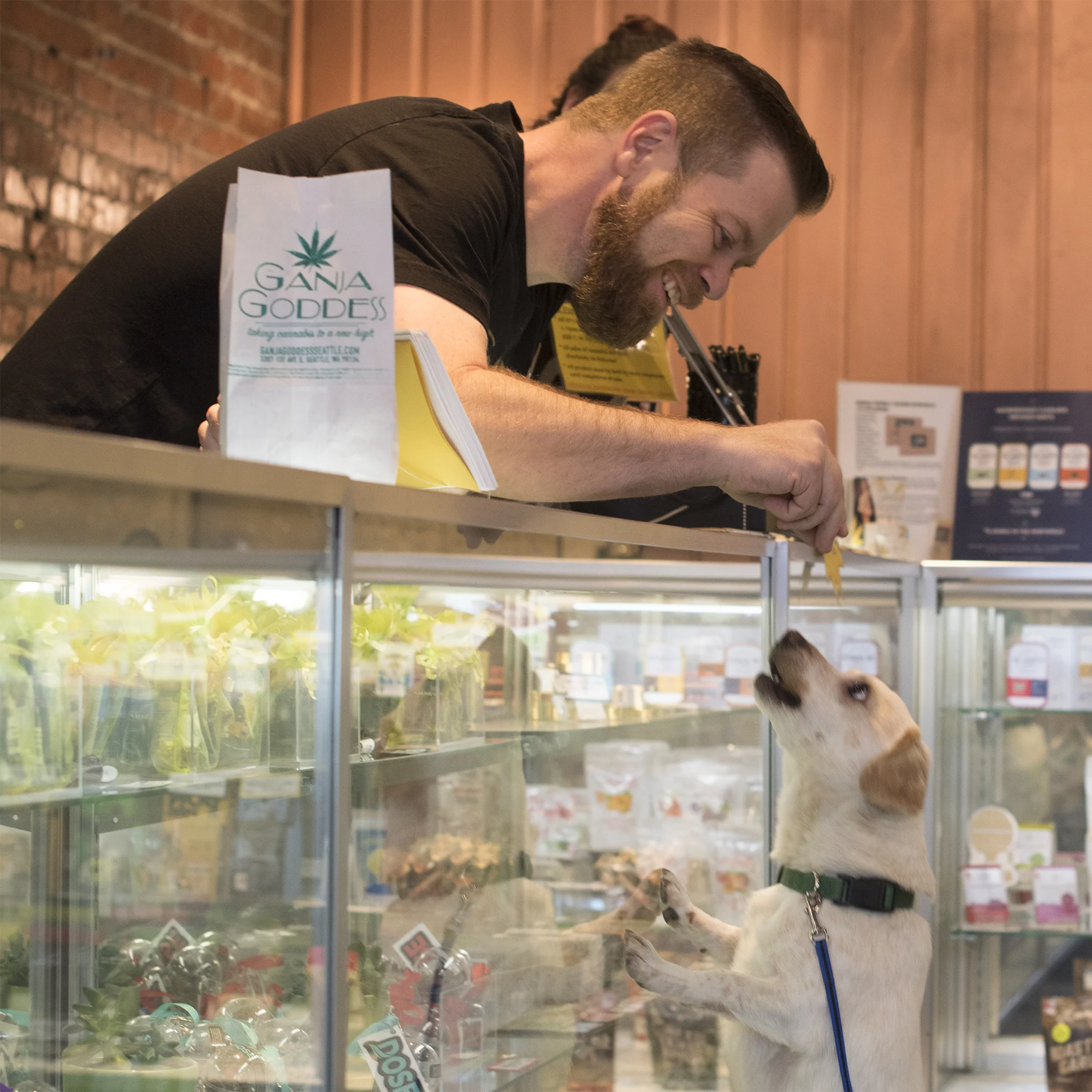 budtender-doggo-02.jpg
