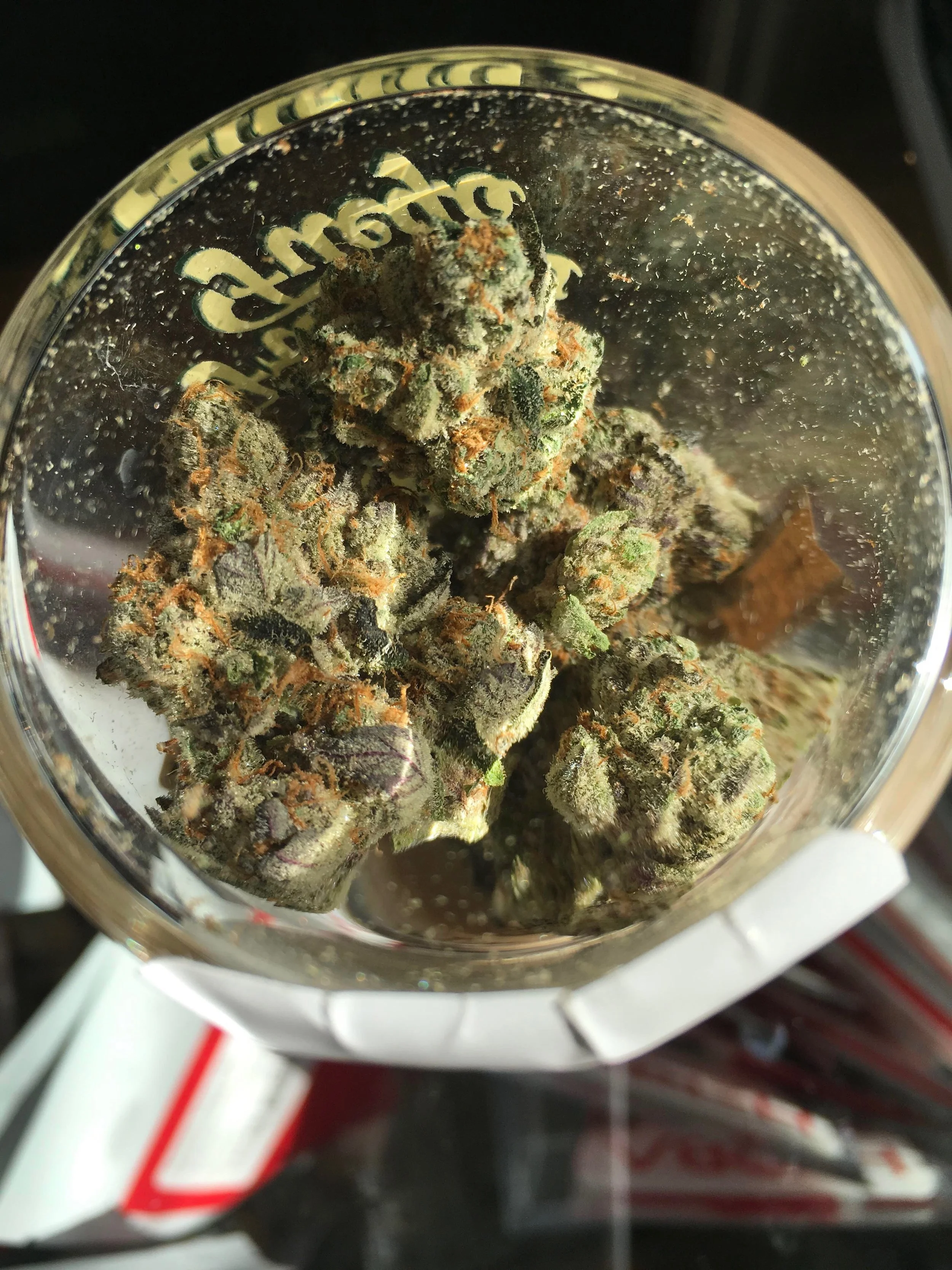 FreddysBlueberryShortcake-1.jpg