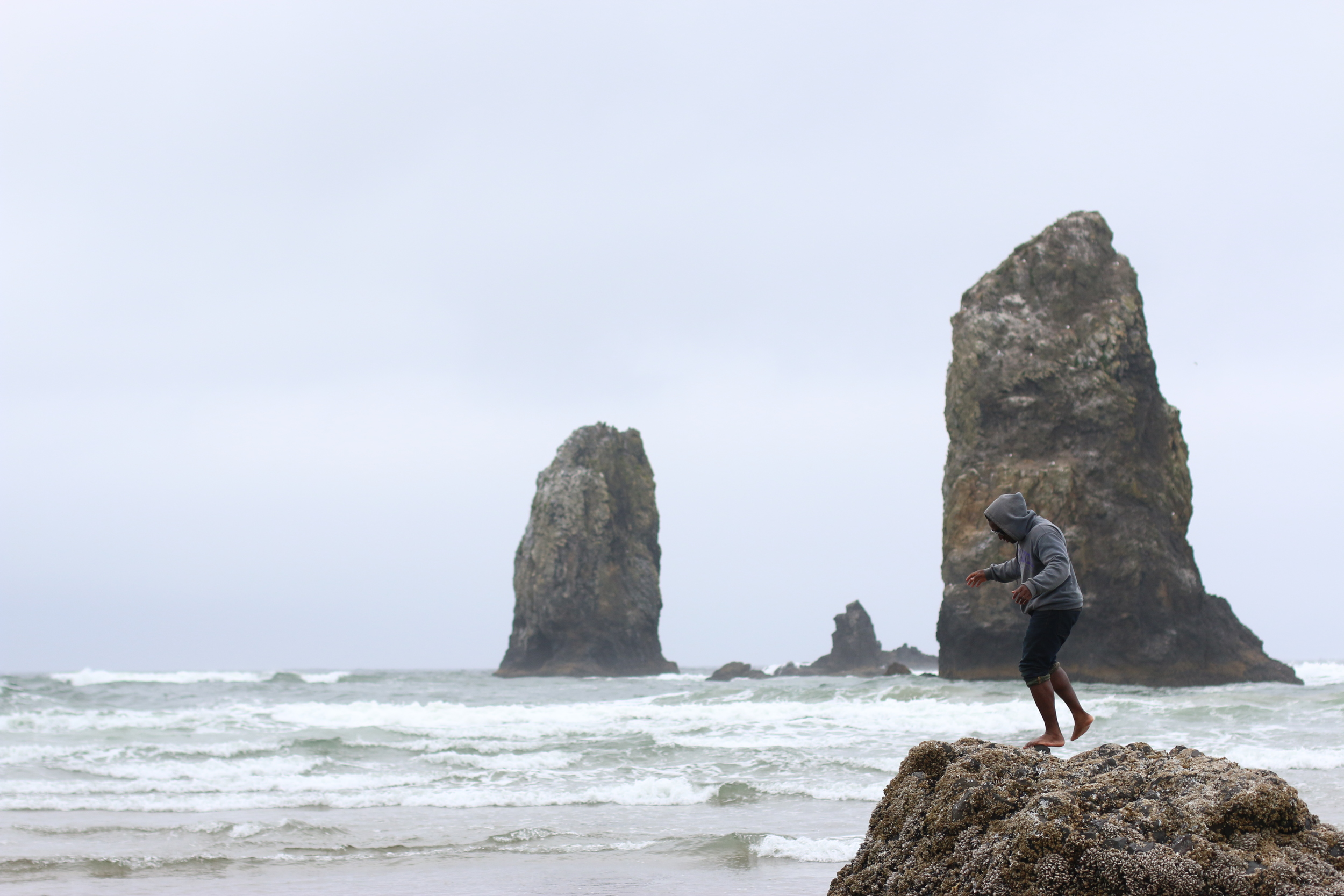 The Pacific North West