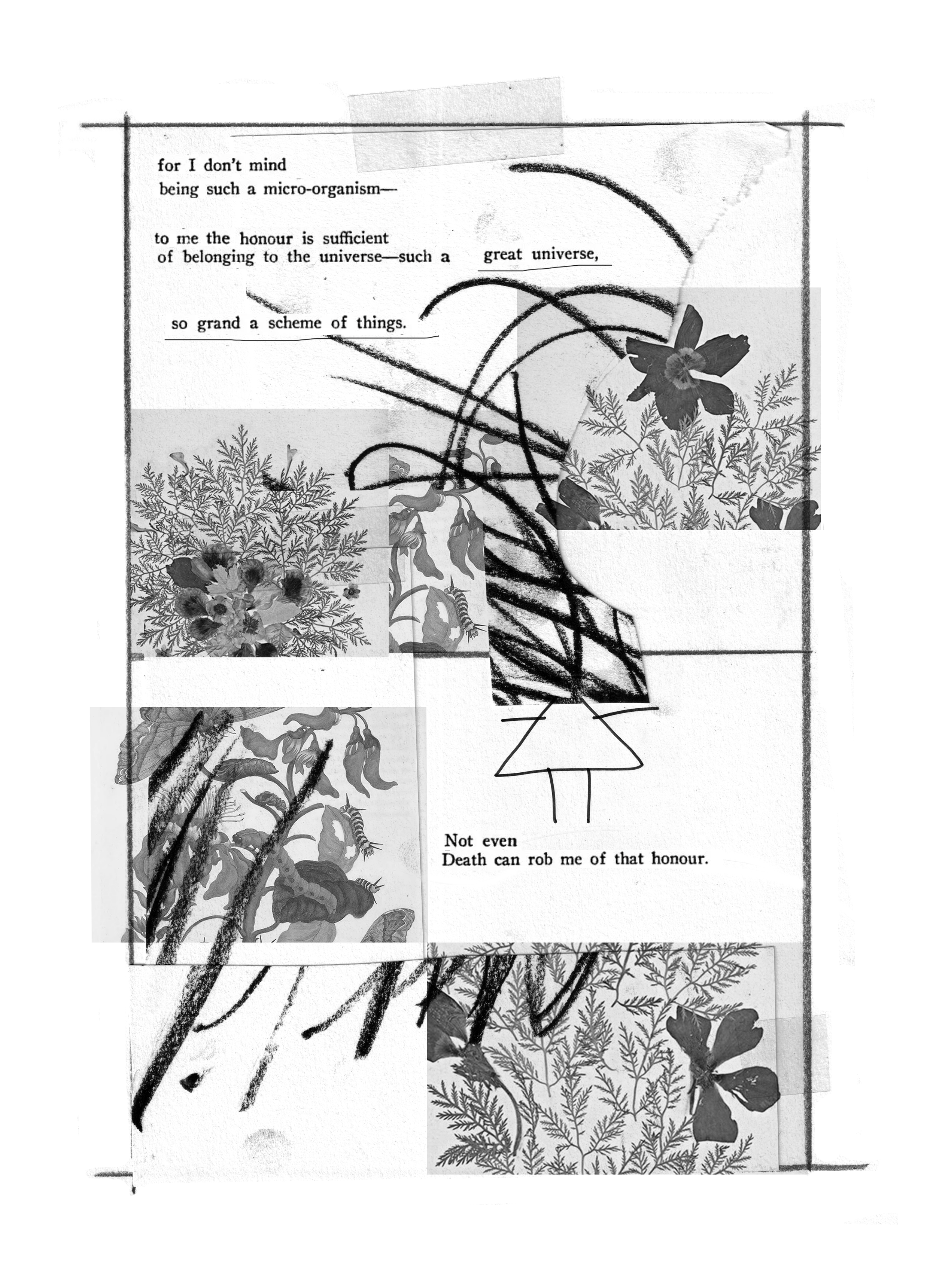 peony_ccc_page 3.png