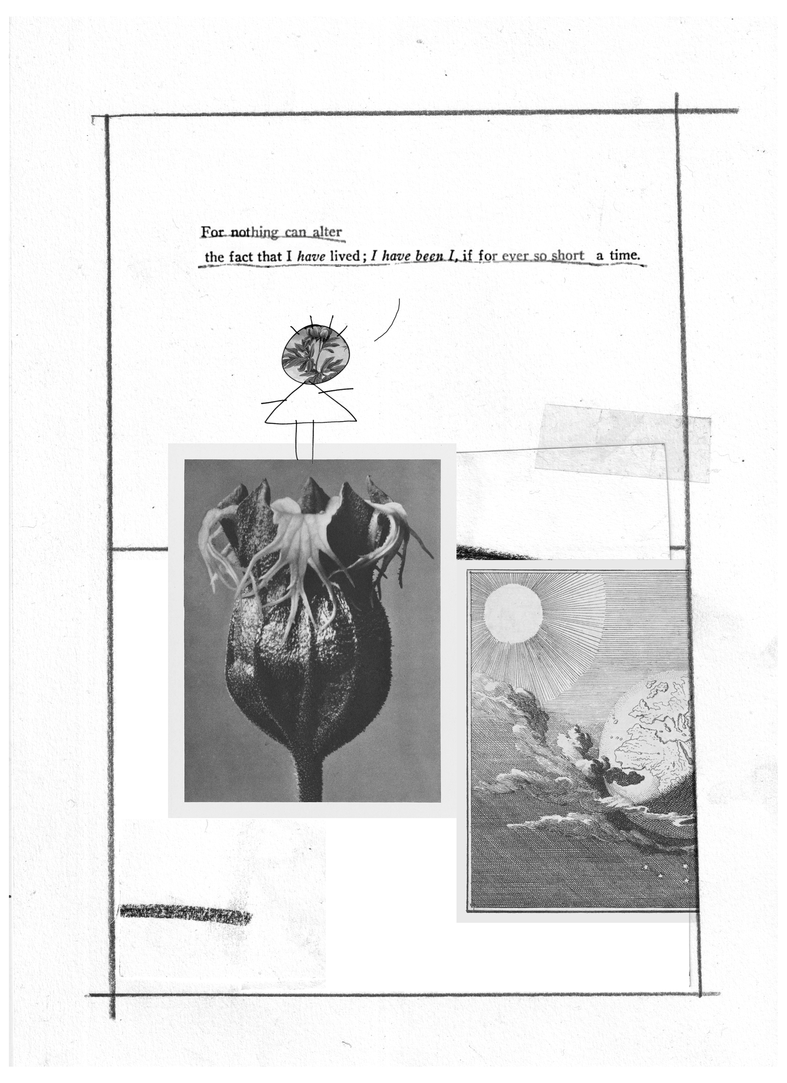 peony_ccc_page 4.png