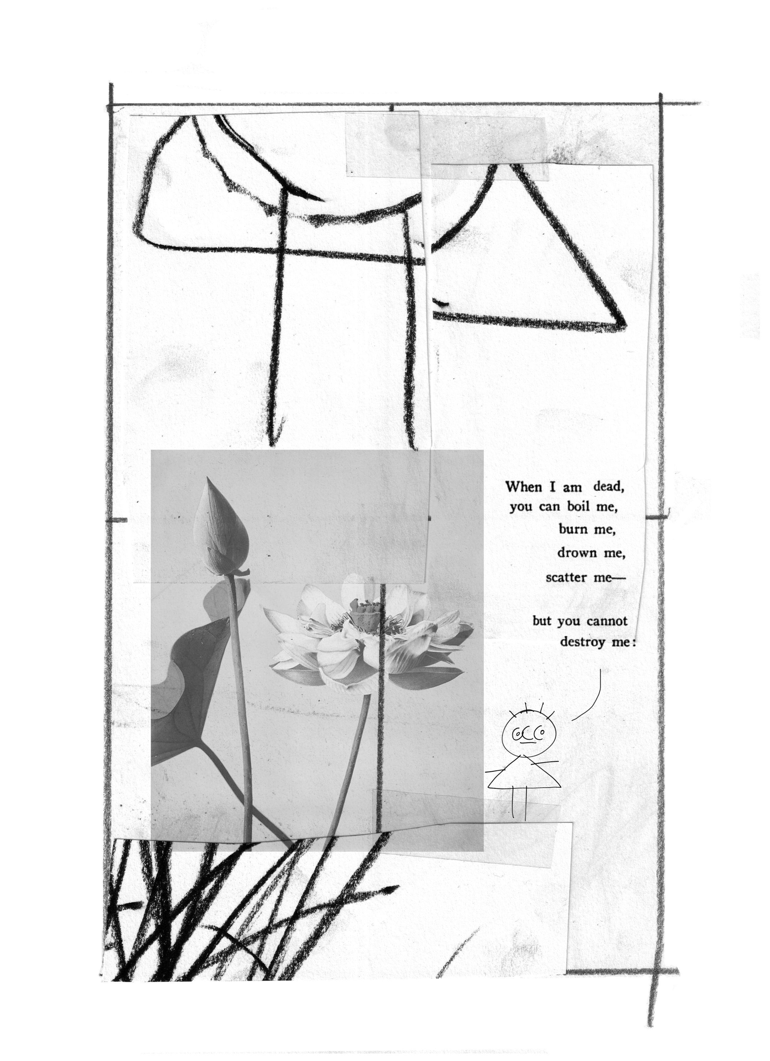 peony_ccc_page 5.png