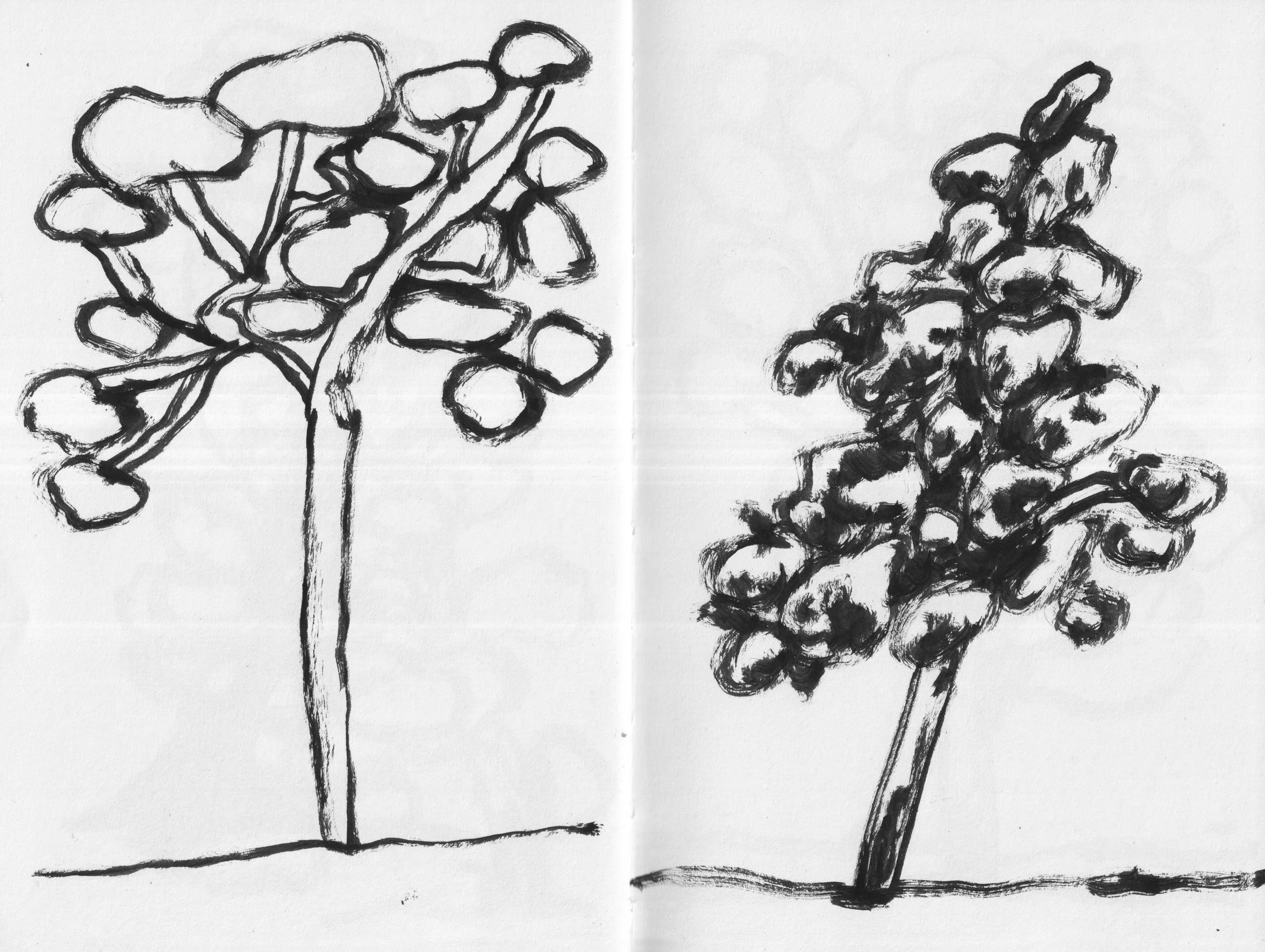 tree1.jpg