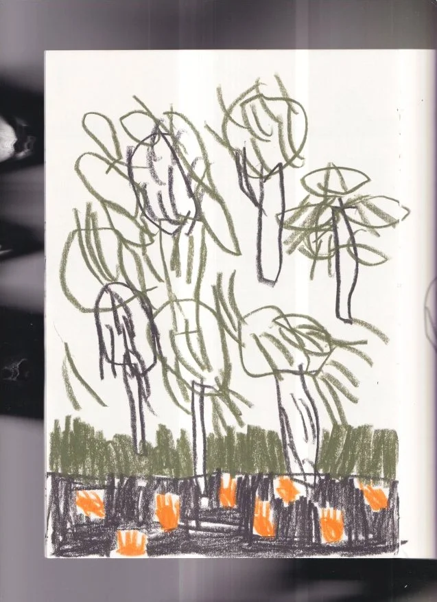 plants scan.jpg