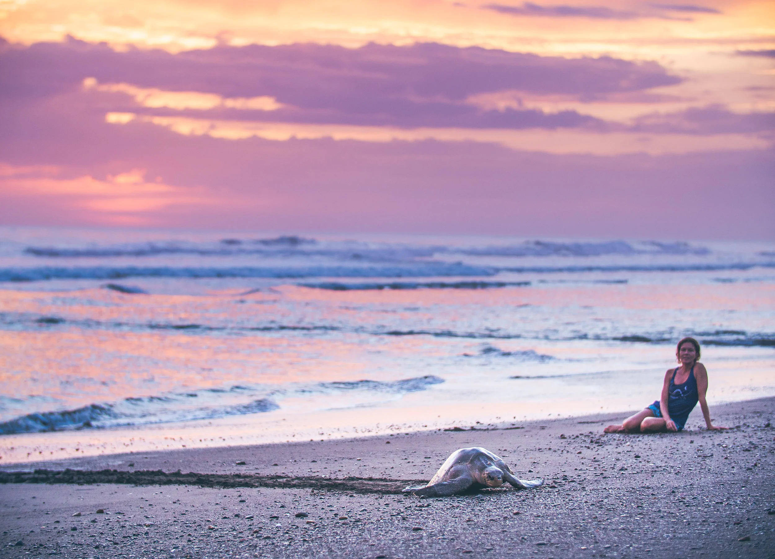 Playa Ostional, Costa Rica