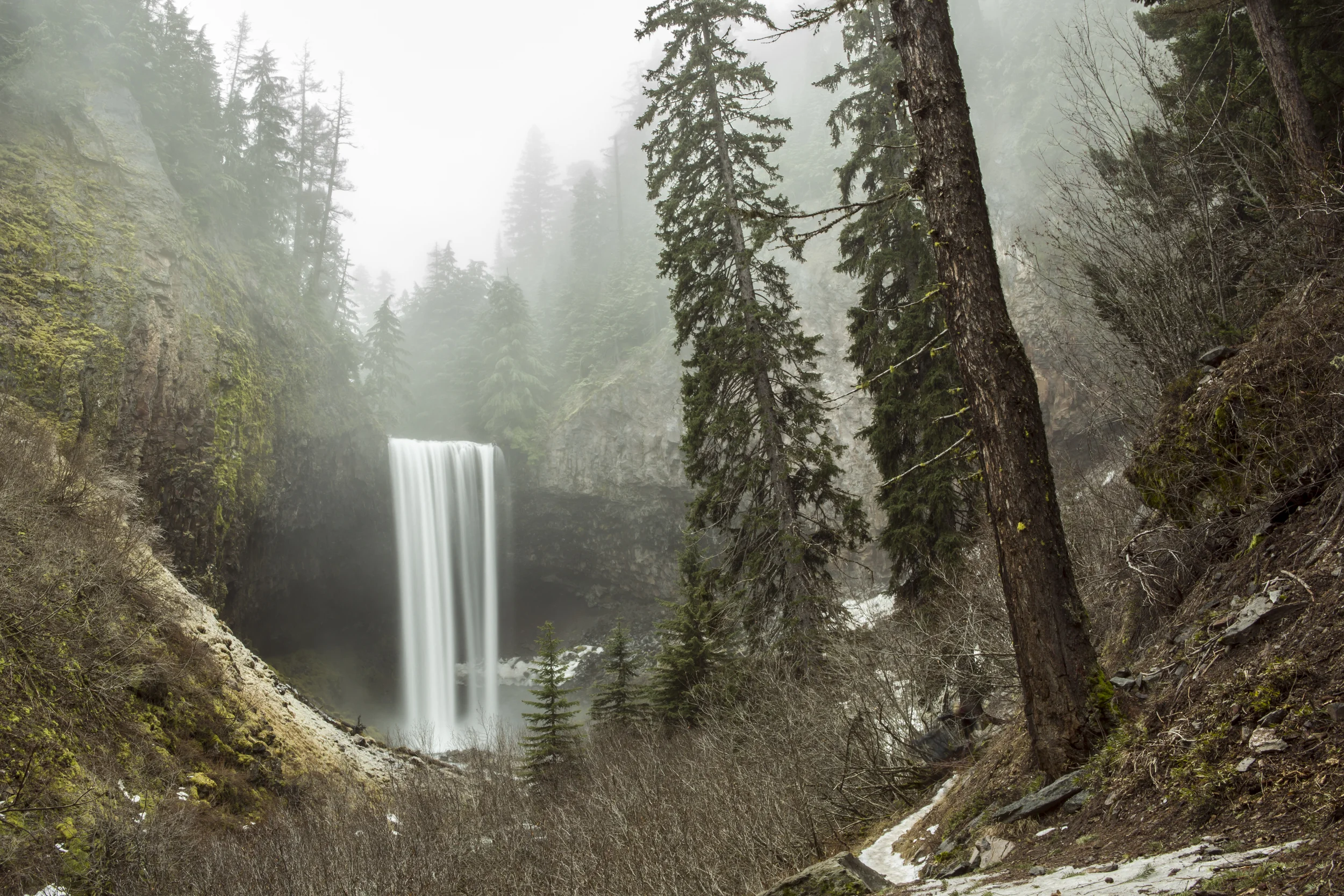 professional Portland Photographer