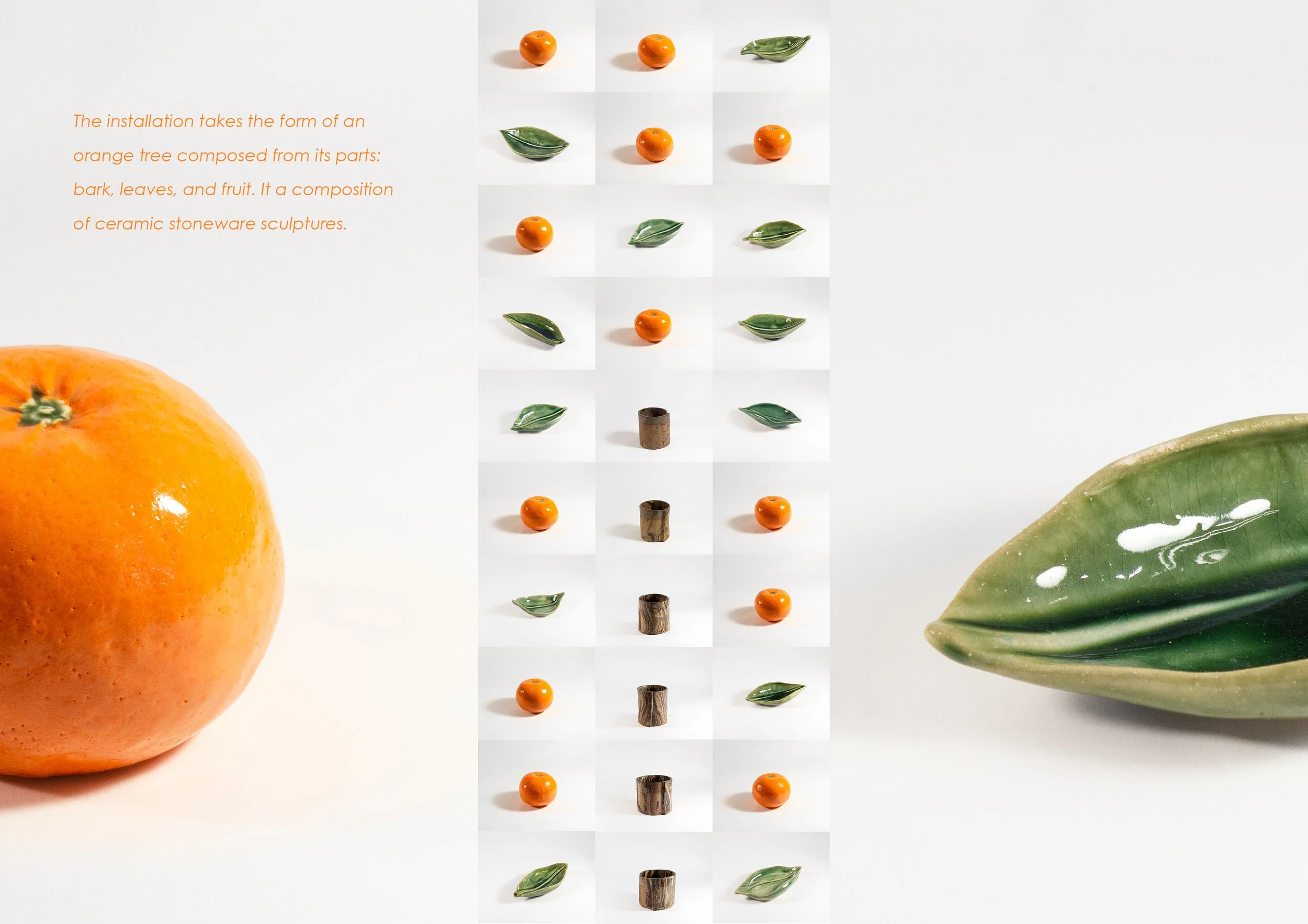Geena Wilkinson_CUBE_Stone Fruit_Portfolio_4.jpg