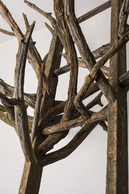 New old growth, detail