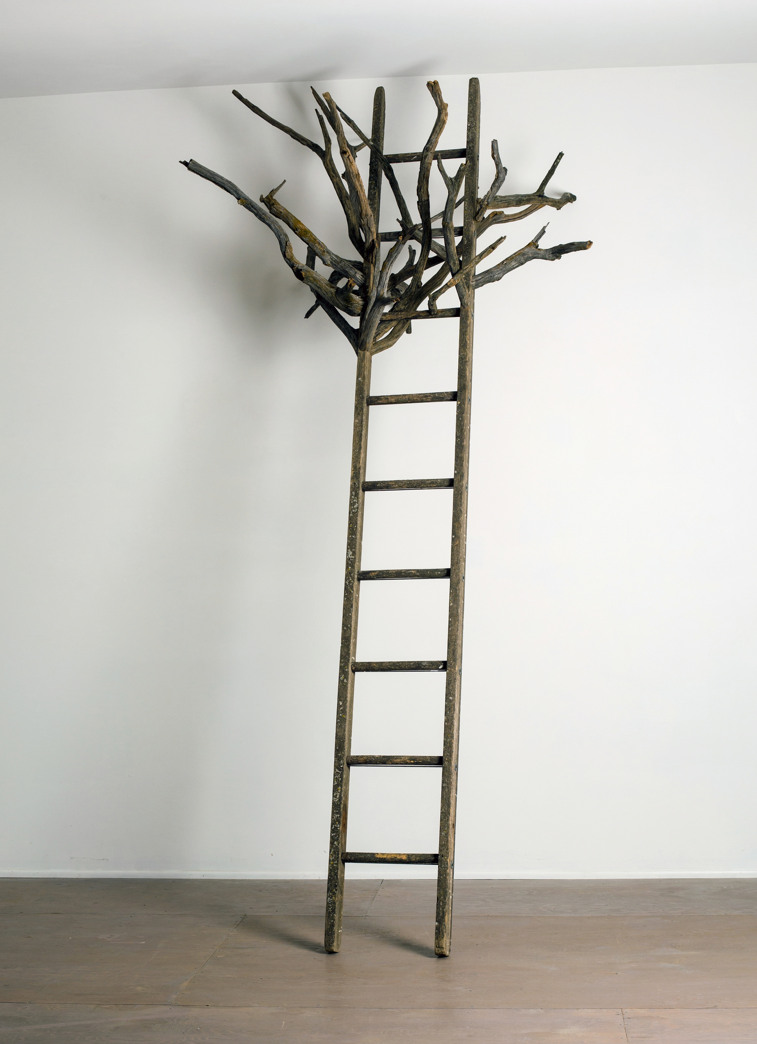 Ladders