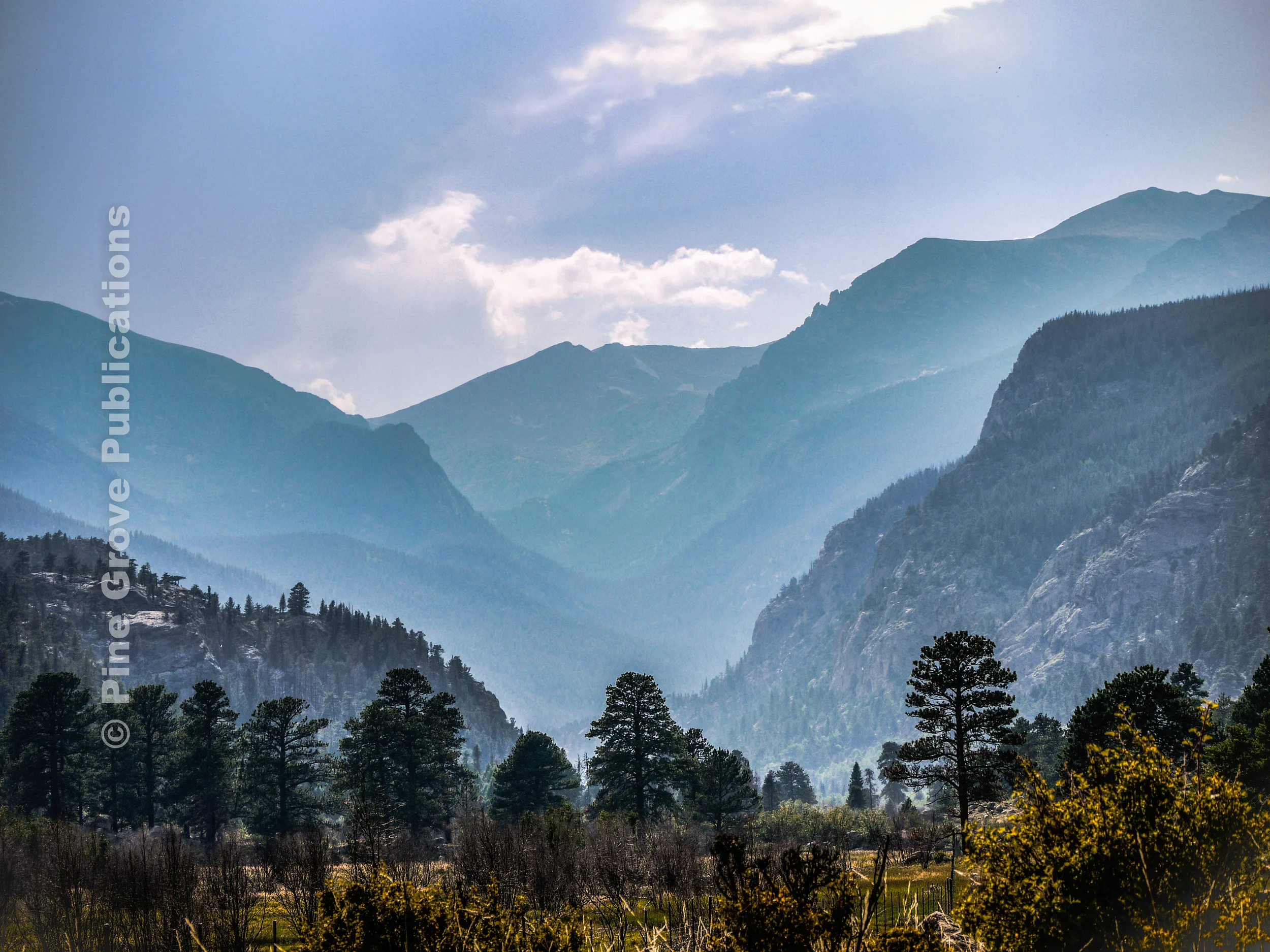 Mountain Mist