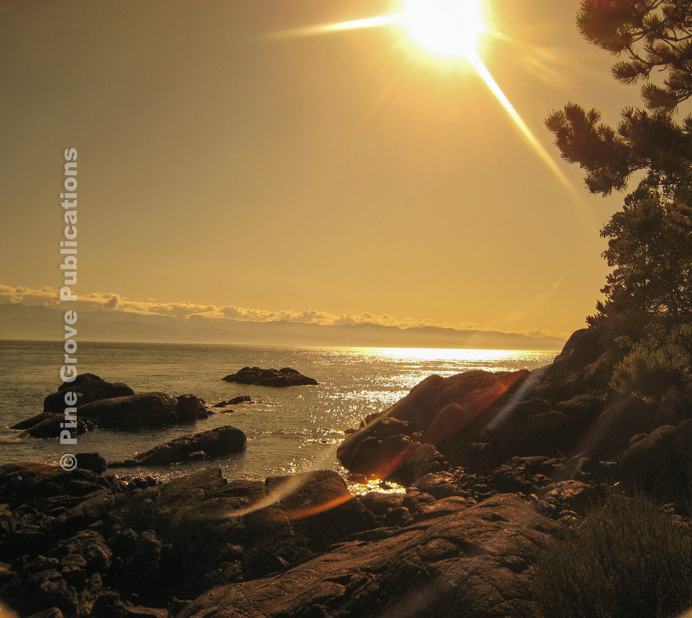 Hanlan's Point Inspiration