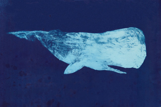    Moby Dick of the Deep    cyanotype print, edition of 12  22" x 30"  2012  (editions 11/12 and 12/12 available)  (Available as giclee print,  click here .) 