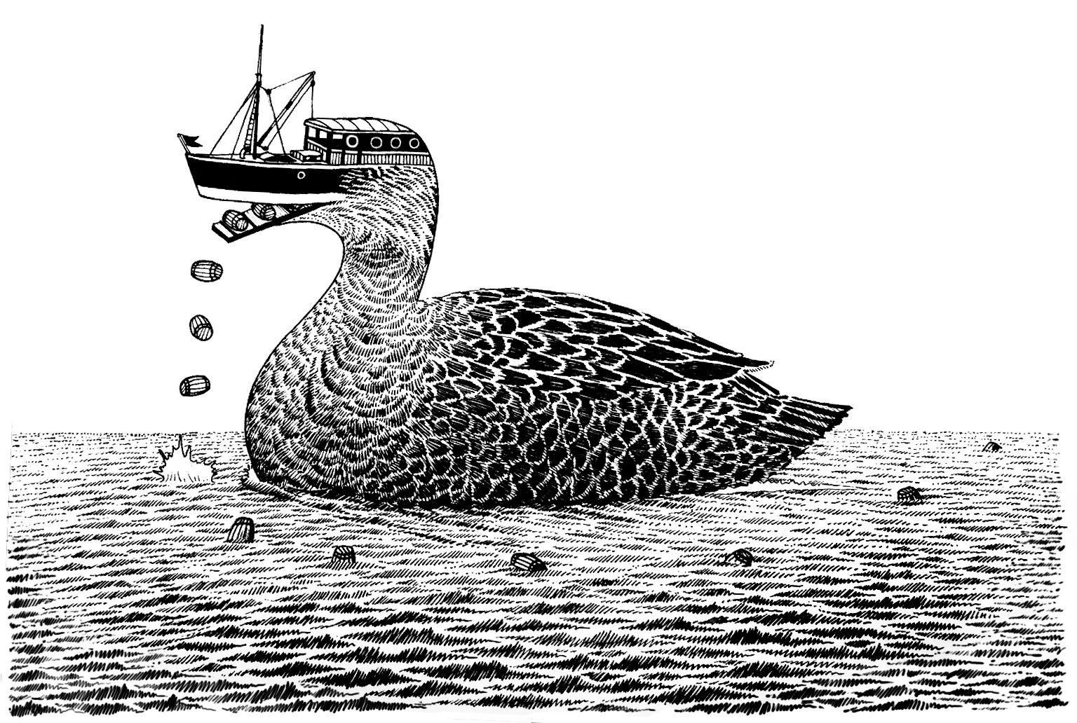 The Black Duck archival ink on arches paper, digital alteration 11" x 14" 2015 Available as an archival digital giclee print on cotton rag paper, 16" x 20", edition of 50. (original sold)