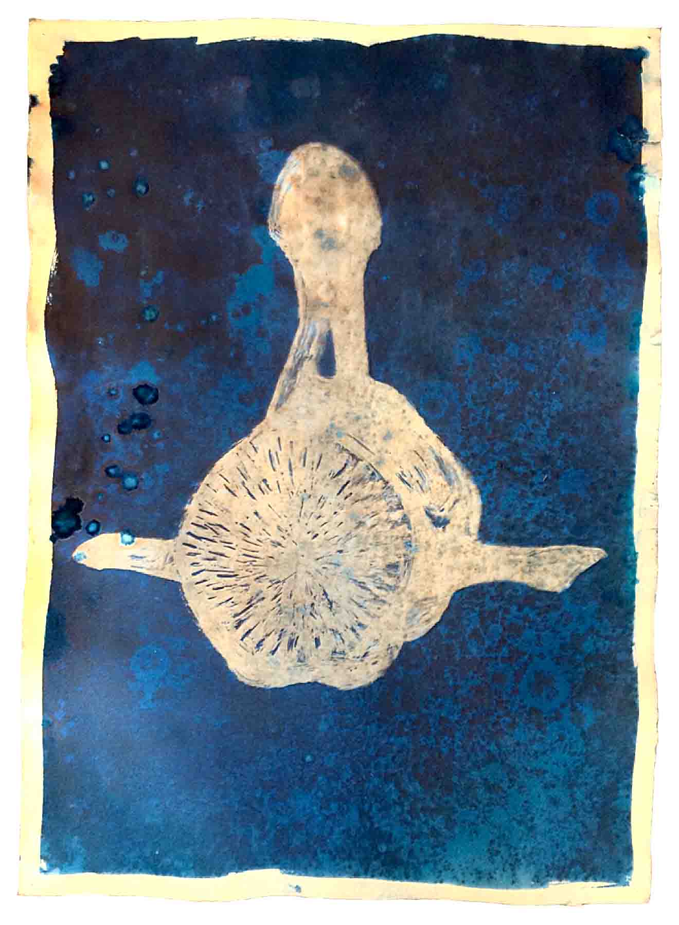    Vertebrae Balaena    cyanotype print, edition of 12  30" x 22"  2015  (available) 