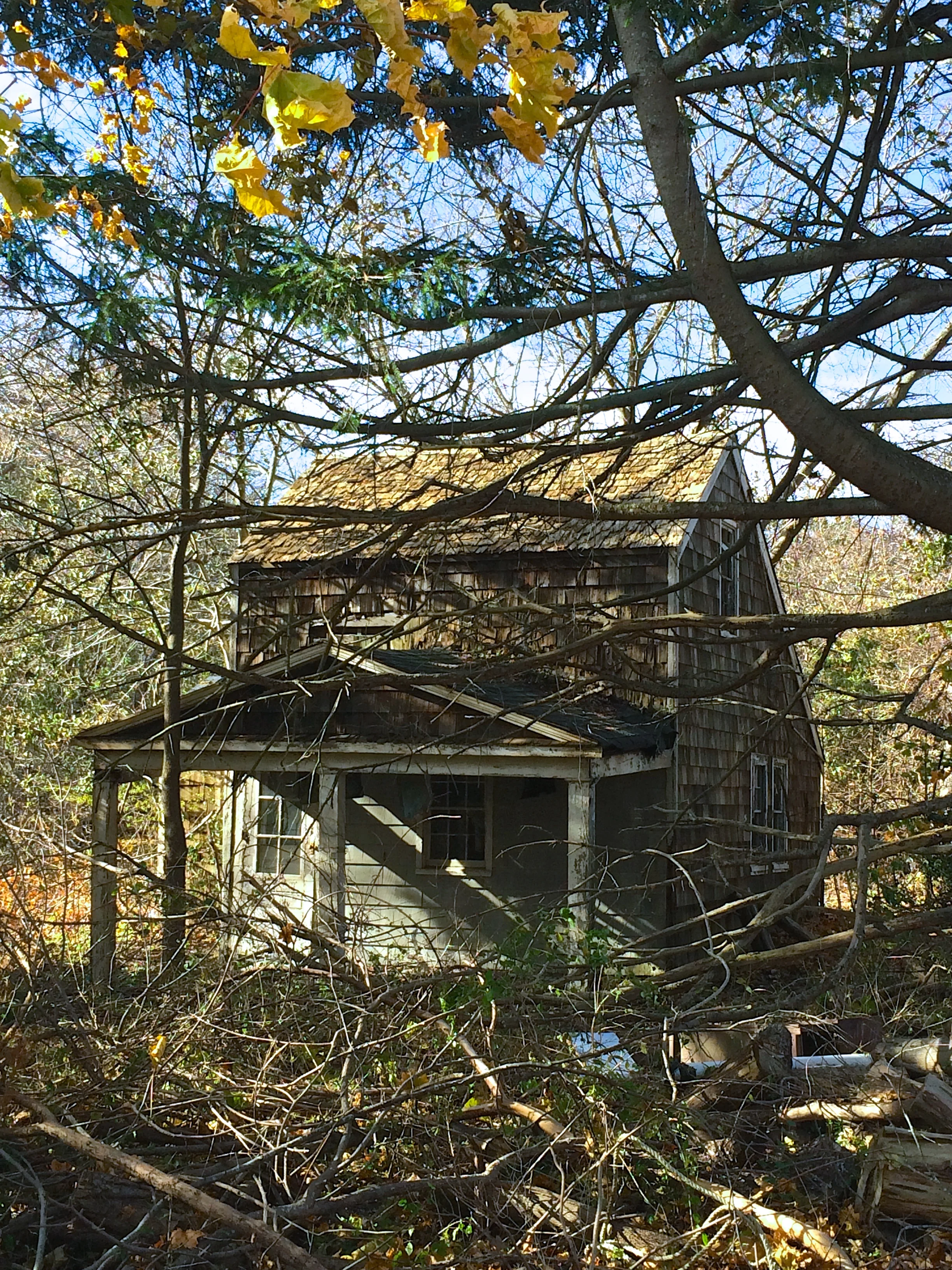 Fowler House digital 2015