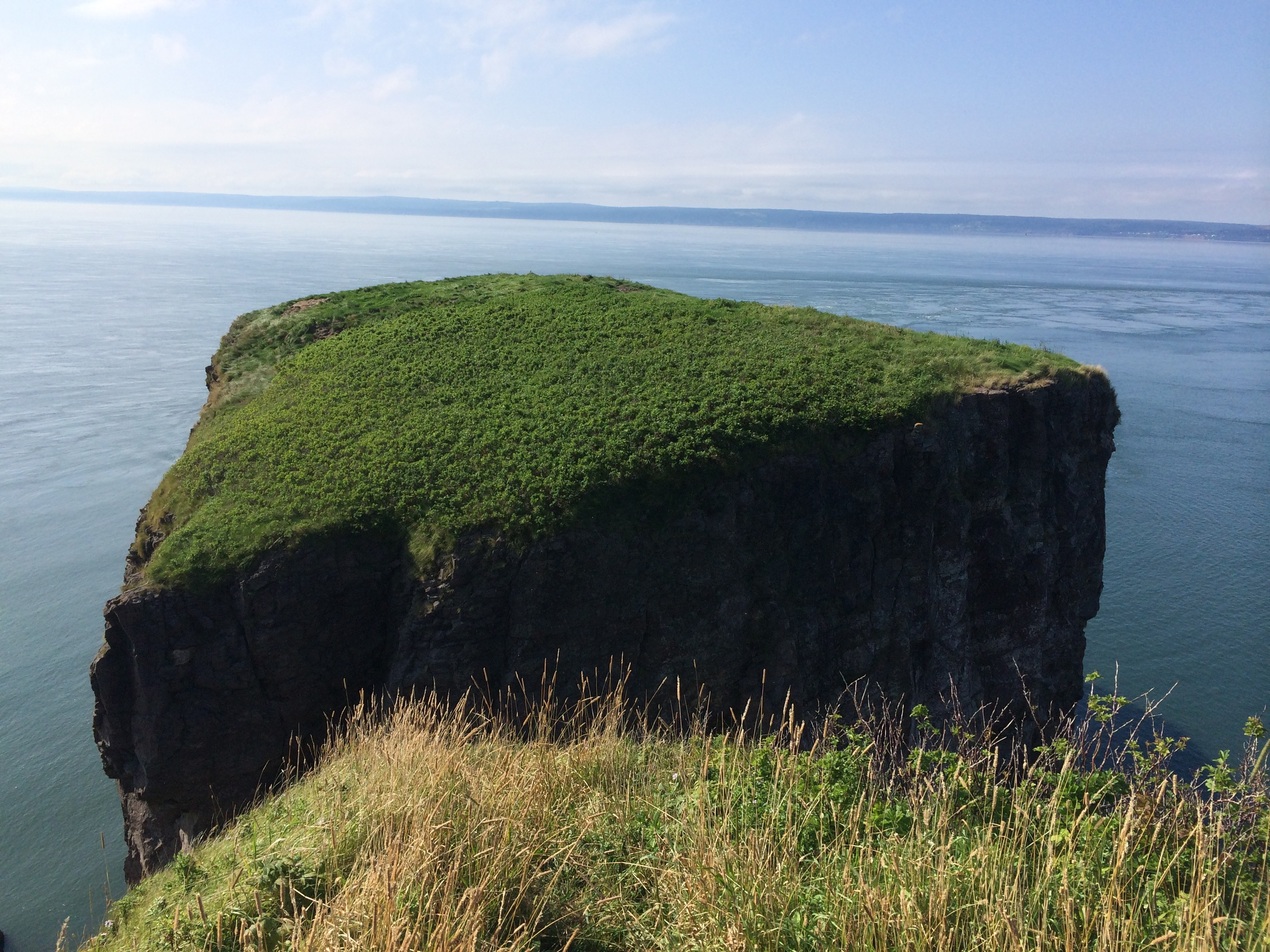    Cape Split    digital  2014 